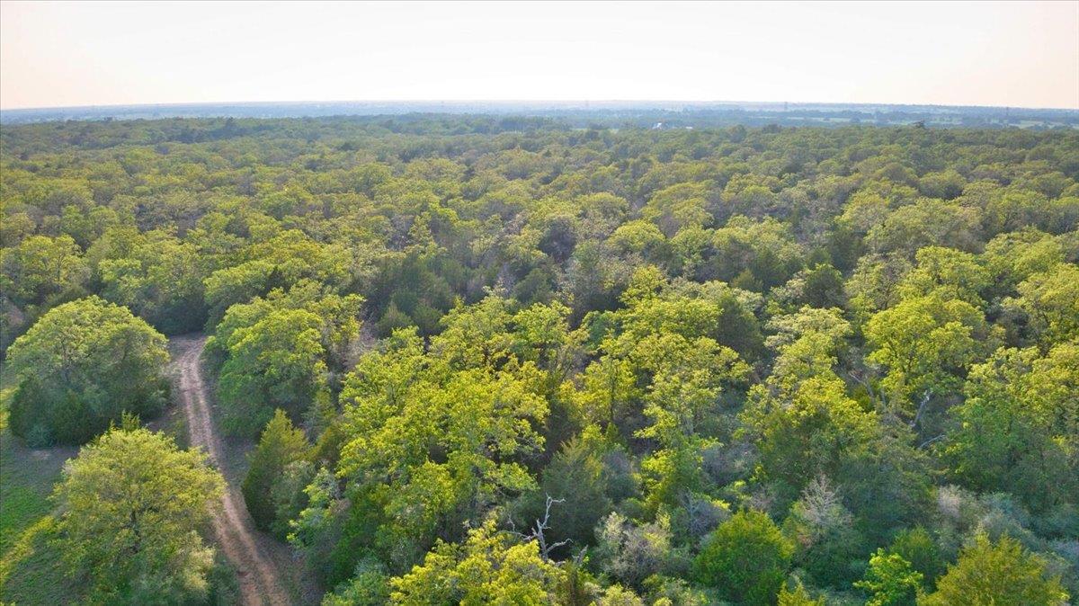 2095 County Road 442, Thrall, TX 76578