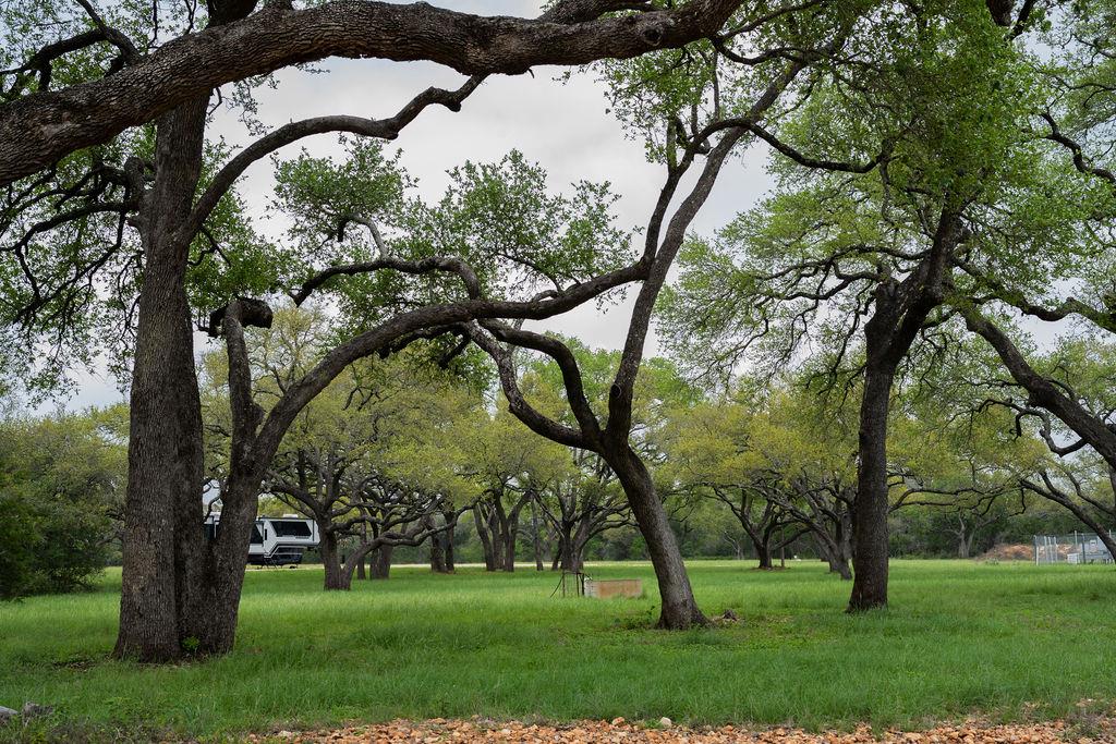 426 Mill Rn, New Braunfels, TX 78132