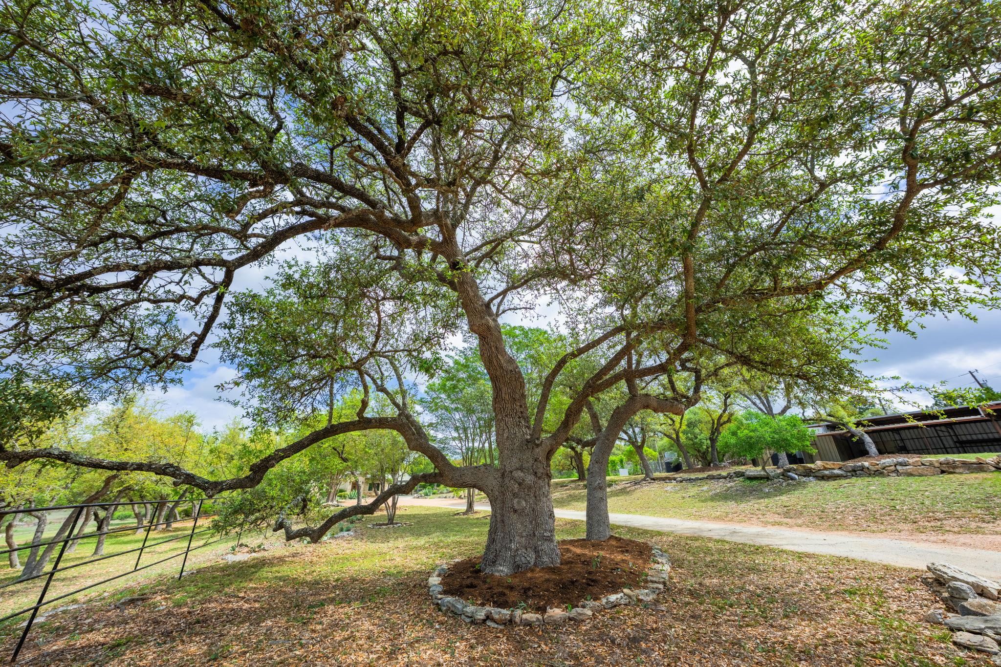 100 Rainbows End, Wimberley, TX 78676