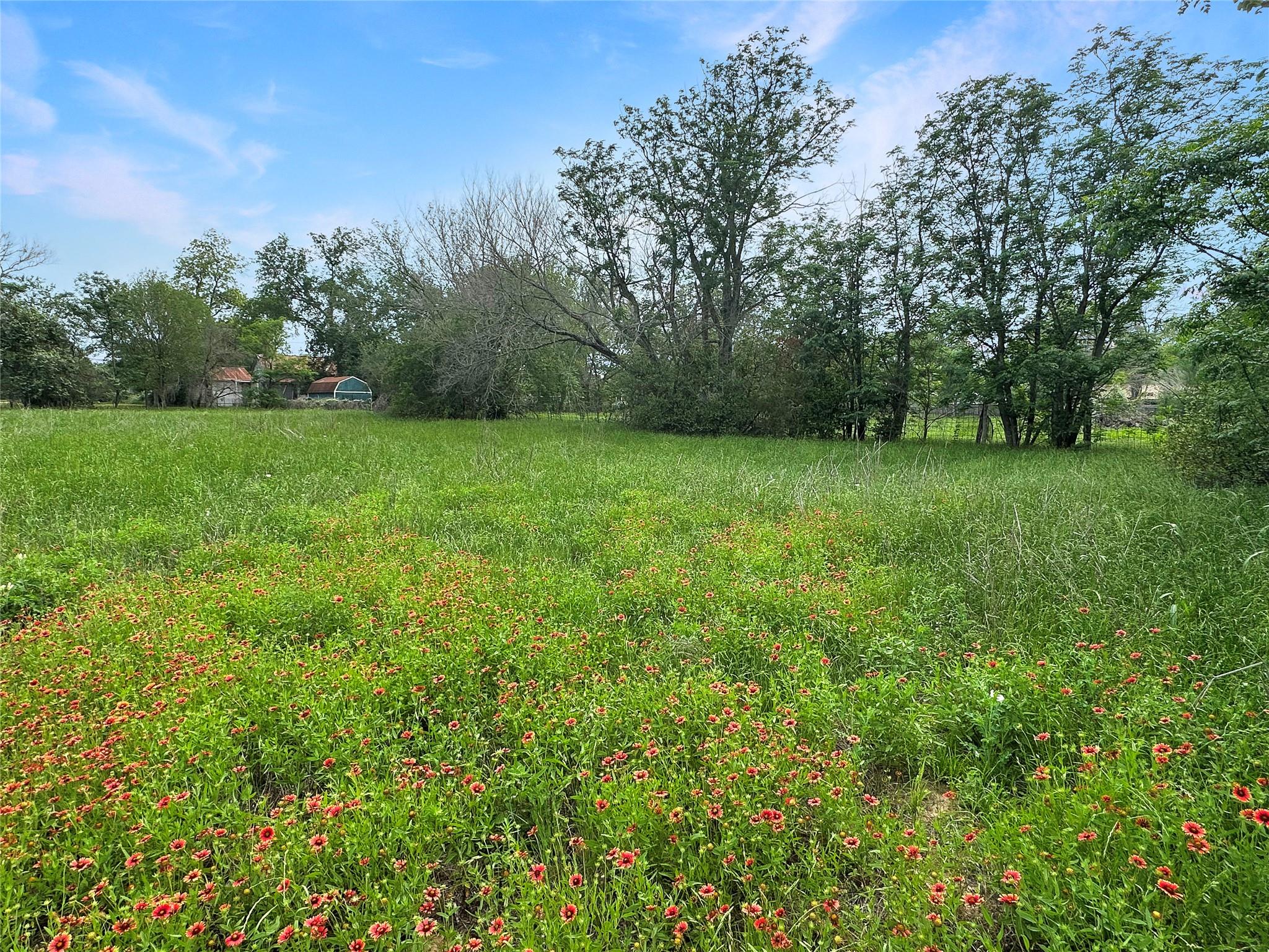 1314 Farm ST, Bastrop, TX 78602