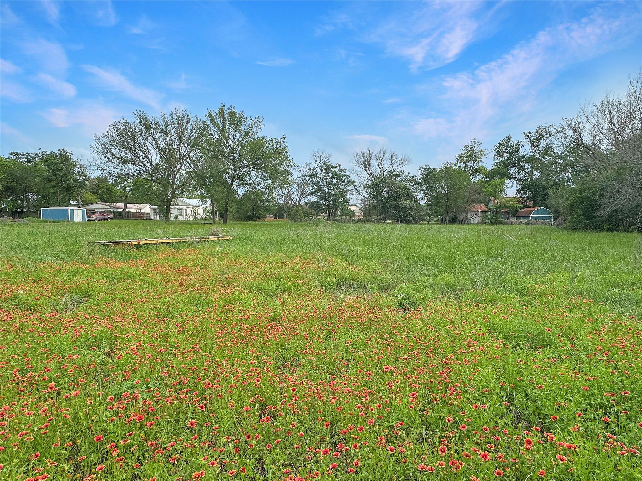 1314 Farm ST, Bastrop, TX 78602