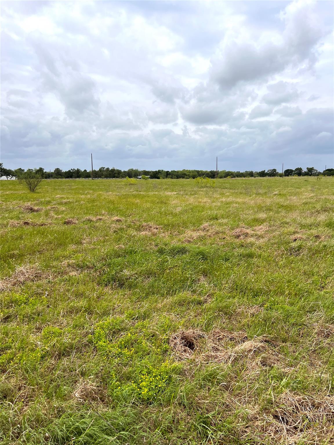 TBD Lot 2 Fm 112 RDS, Thrall, TX 76578