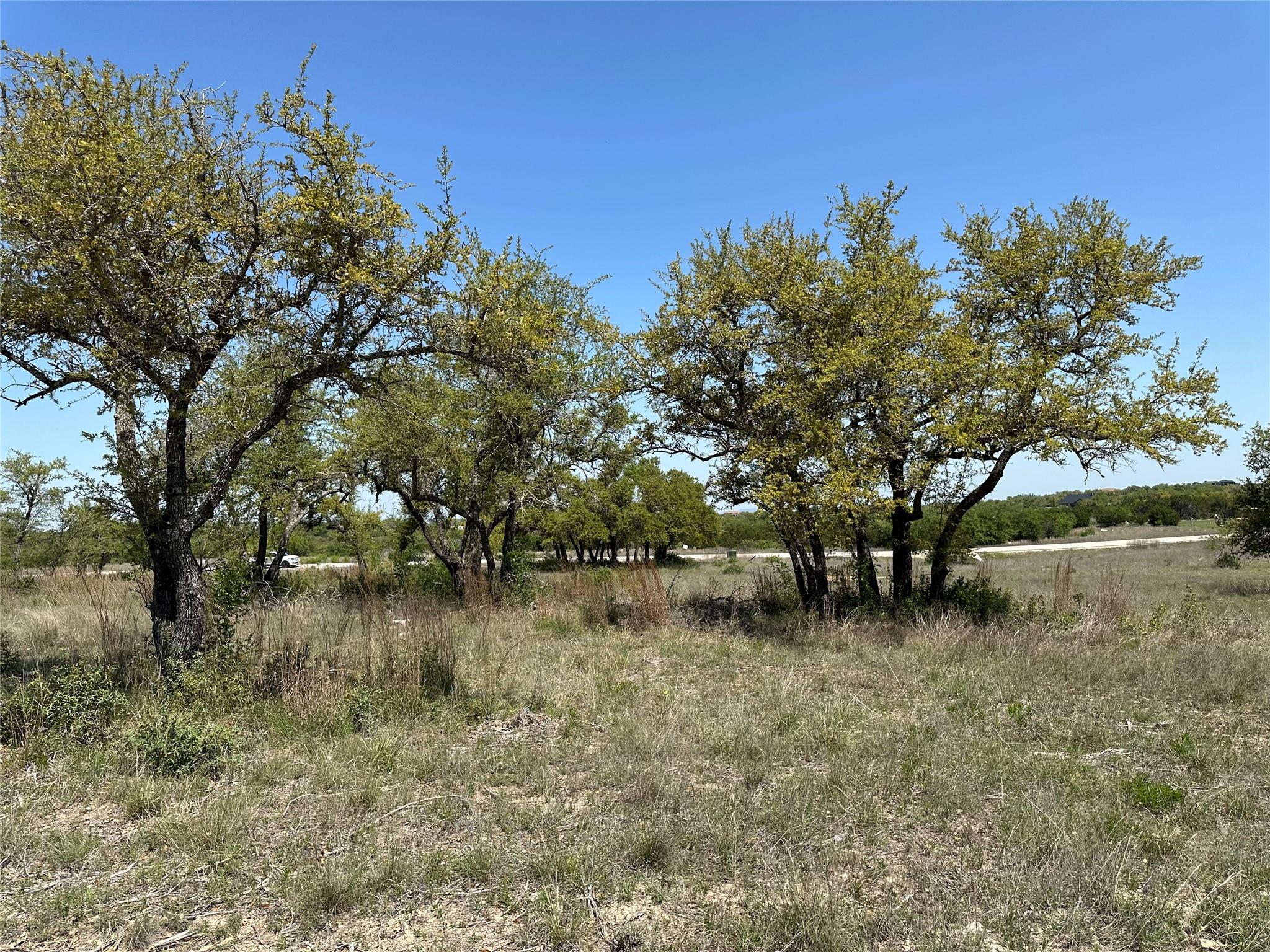 Lot 106 E Flying Owl DR, Johnson City, TX 78636