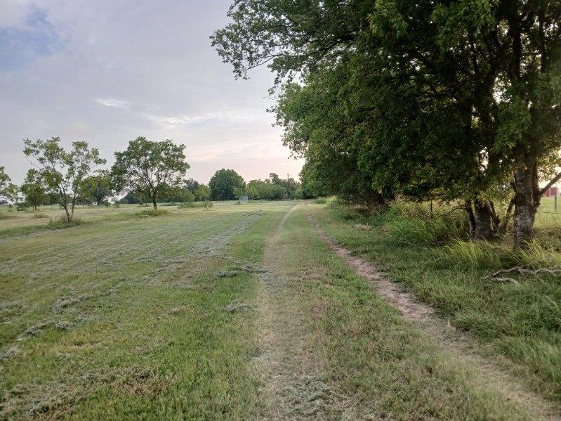 2985 County Road 426, Thrall, TX 76578