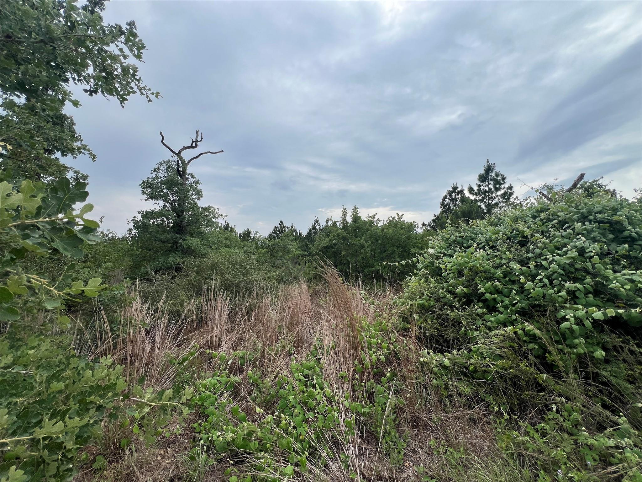 TBD Blue Jay RD, Bastrop, TX 78602