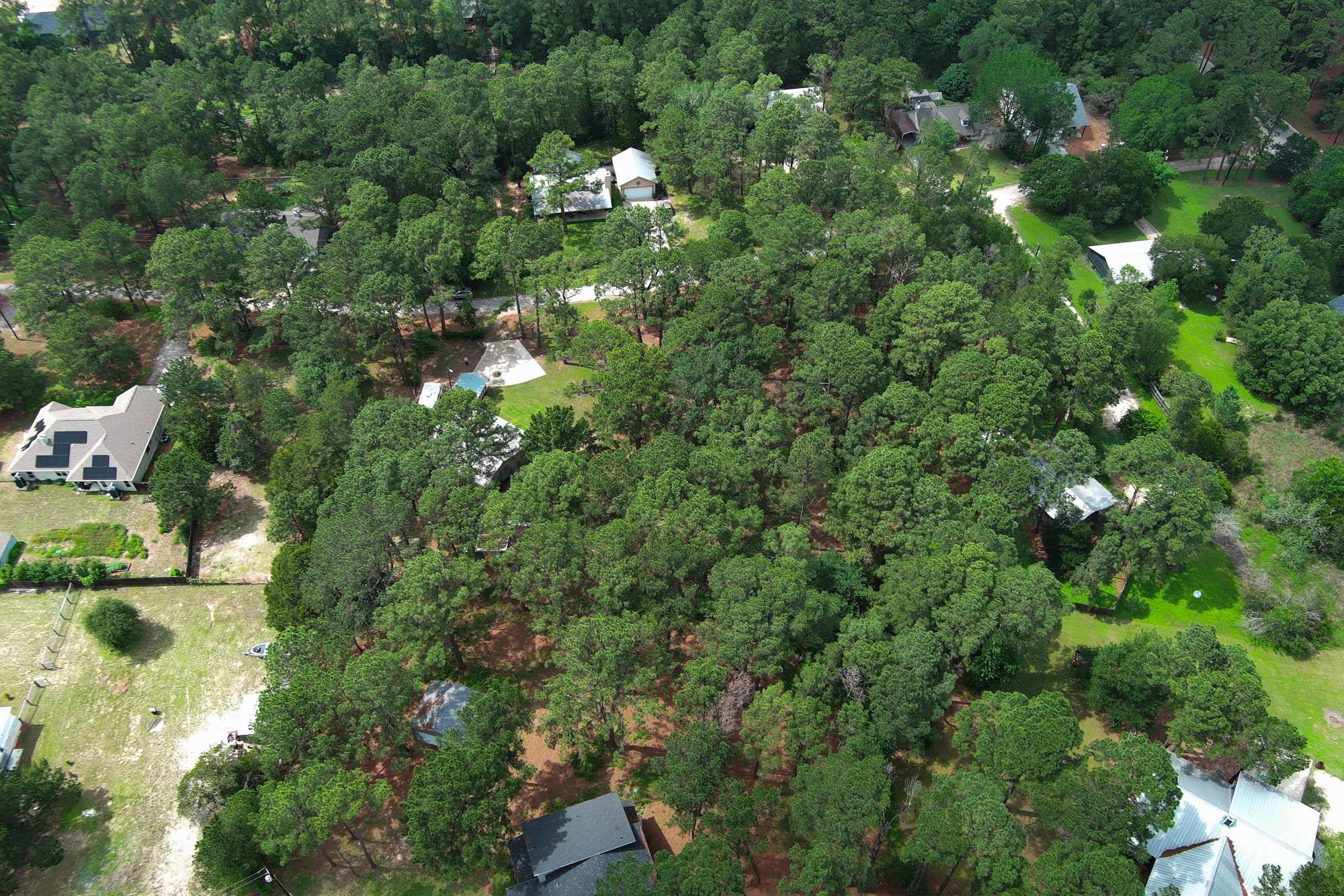 121 Pony Grass LN, Bastrop, TX 78602