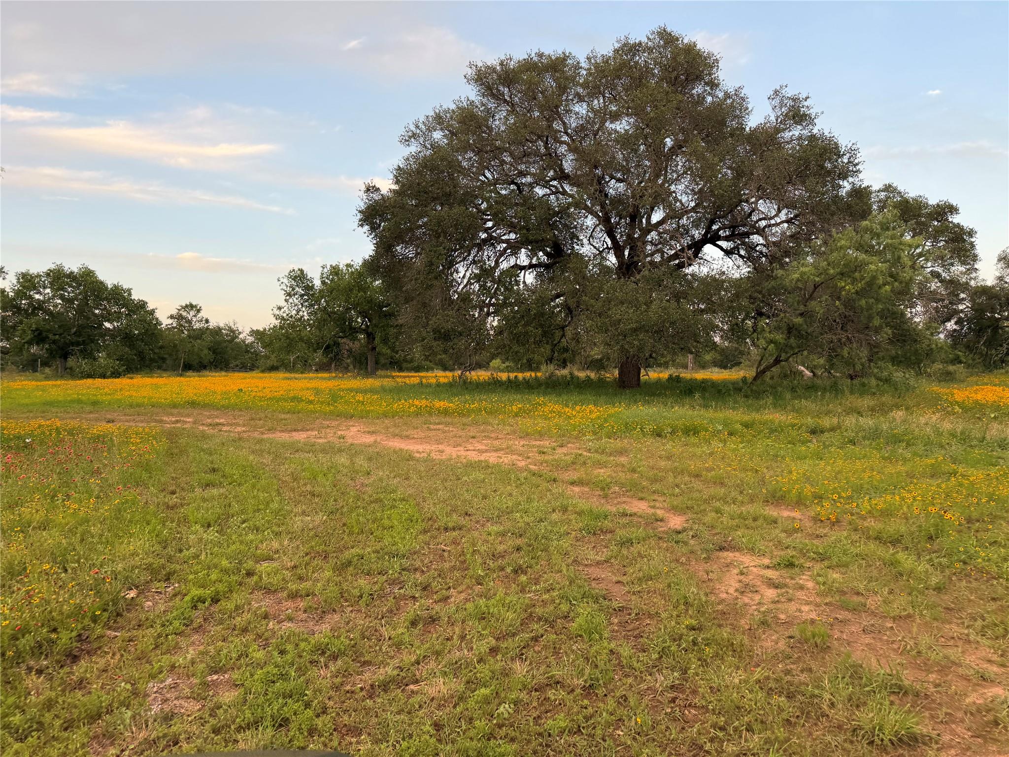 TBD Fm 1980, Marble Falls, TX 78654