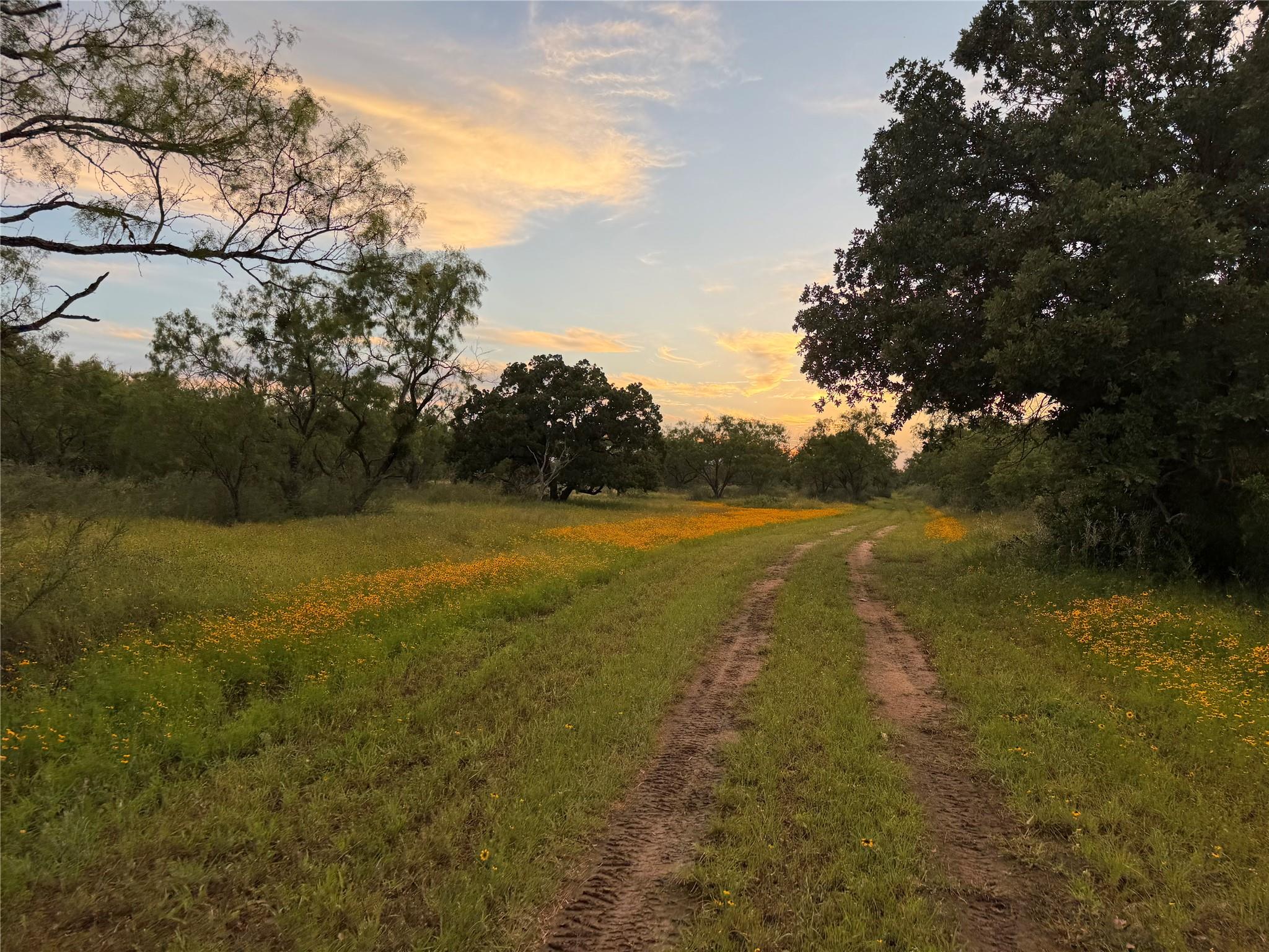 TBD Fm 1980, Marble Falls, TX 78654