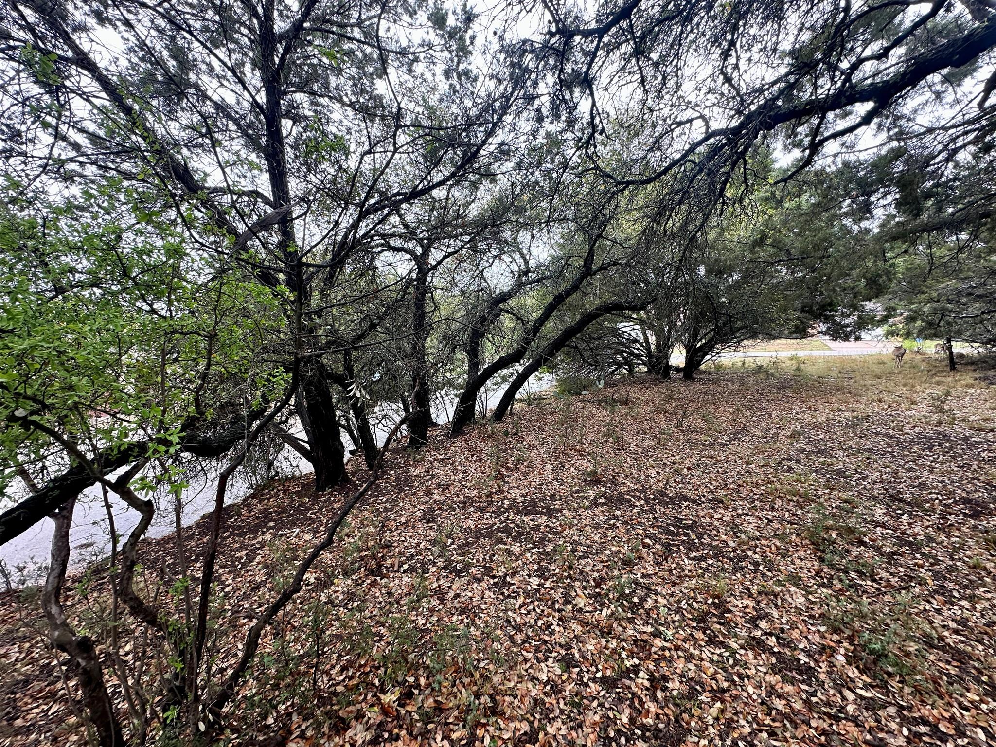 2907 Ticonderoga CV, Lago Vista, TX 78645
