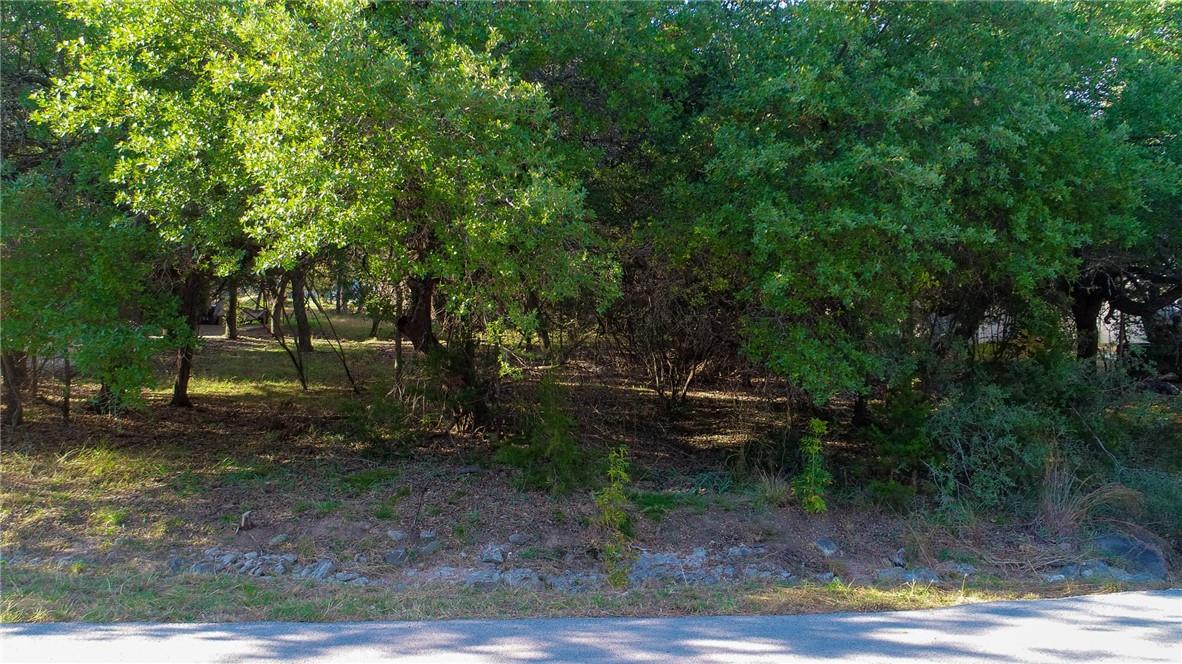 306 Cargill DR, Spicewood, TX 78669