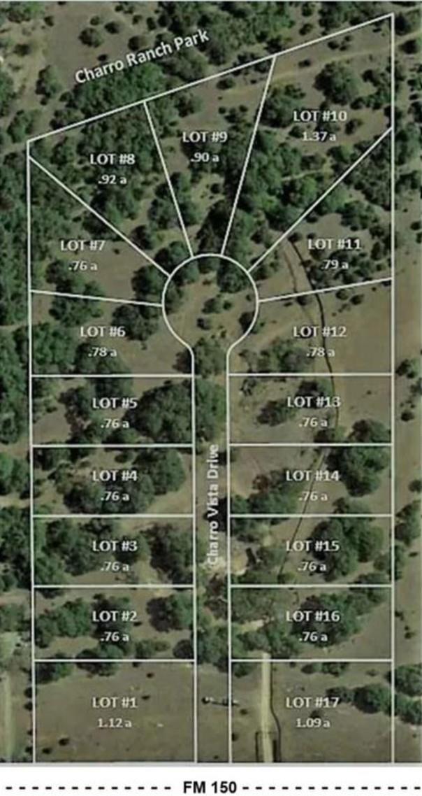 221 Charro Vista DR, Driftwood, TX 78619