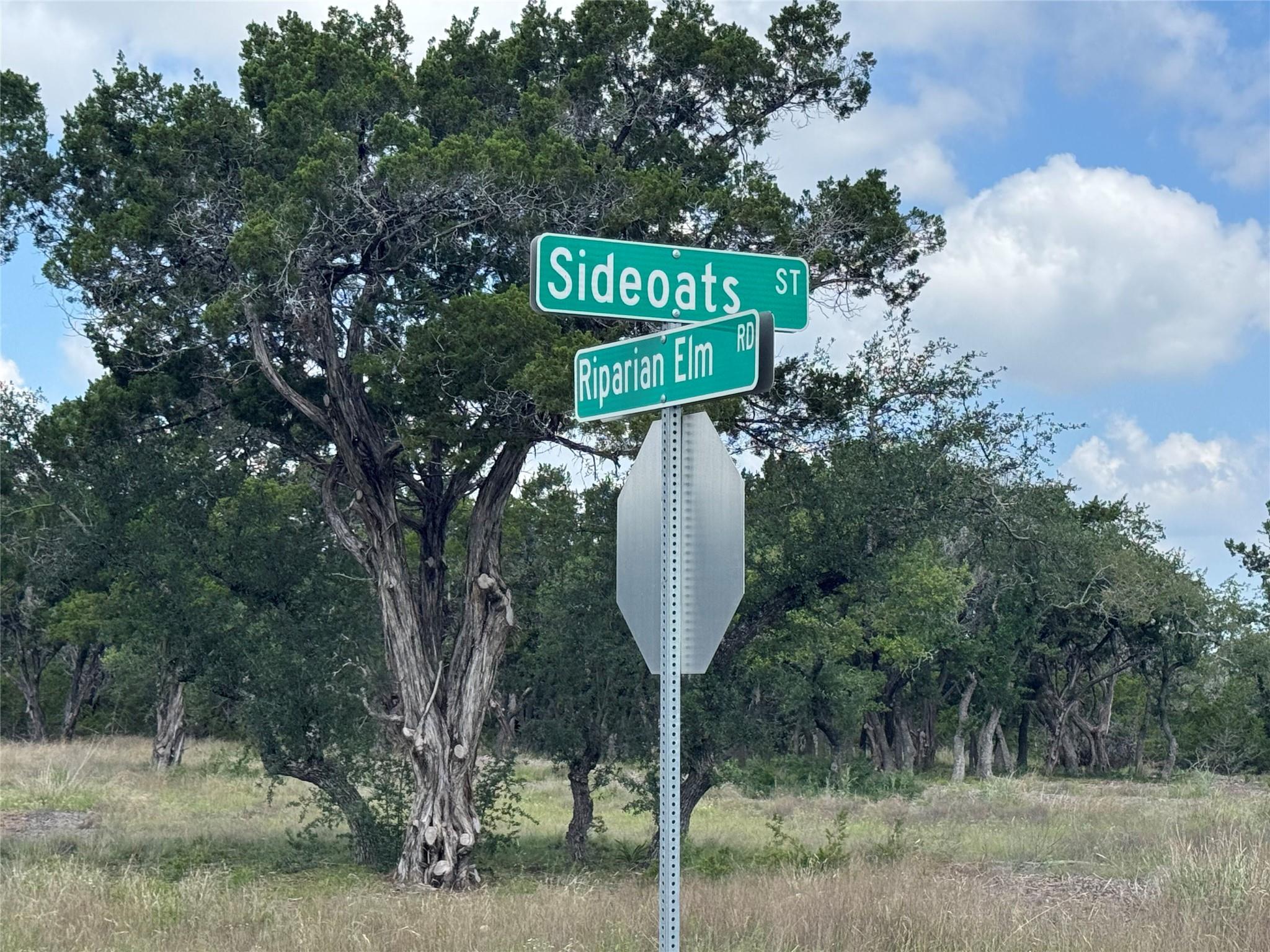 Lot 37 Riparian Elm RD, Bertram, TX 78605