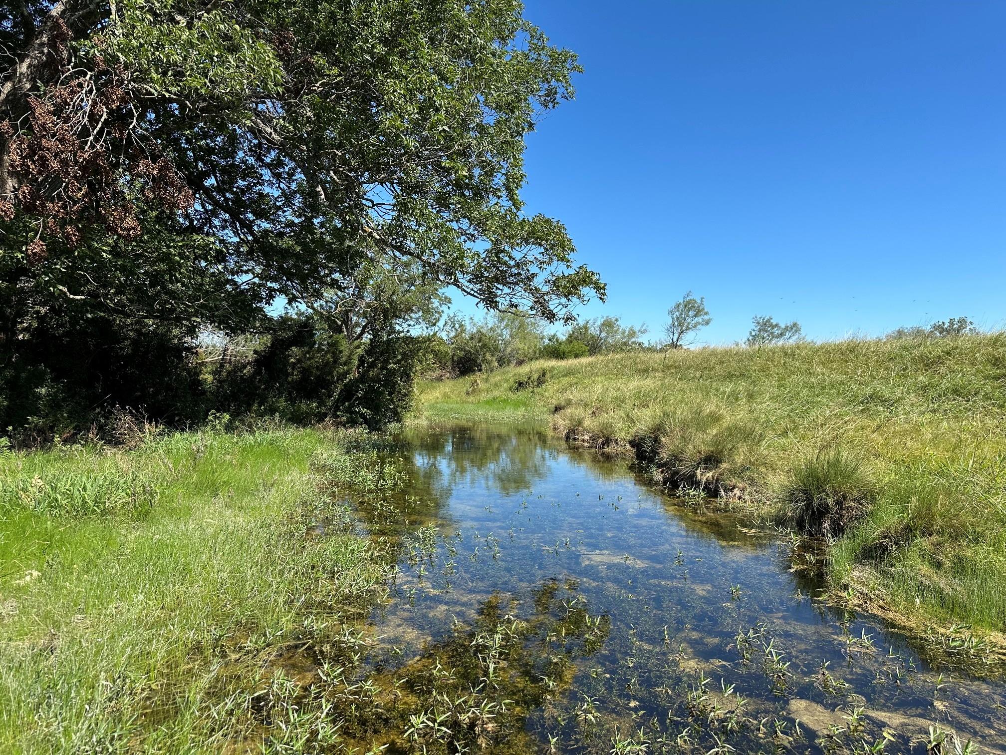23 acres County Road 330, Bertram, TX 78605