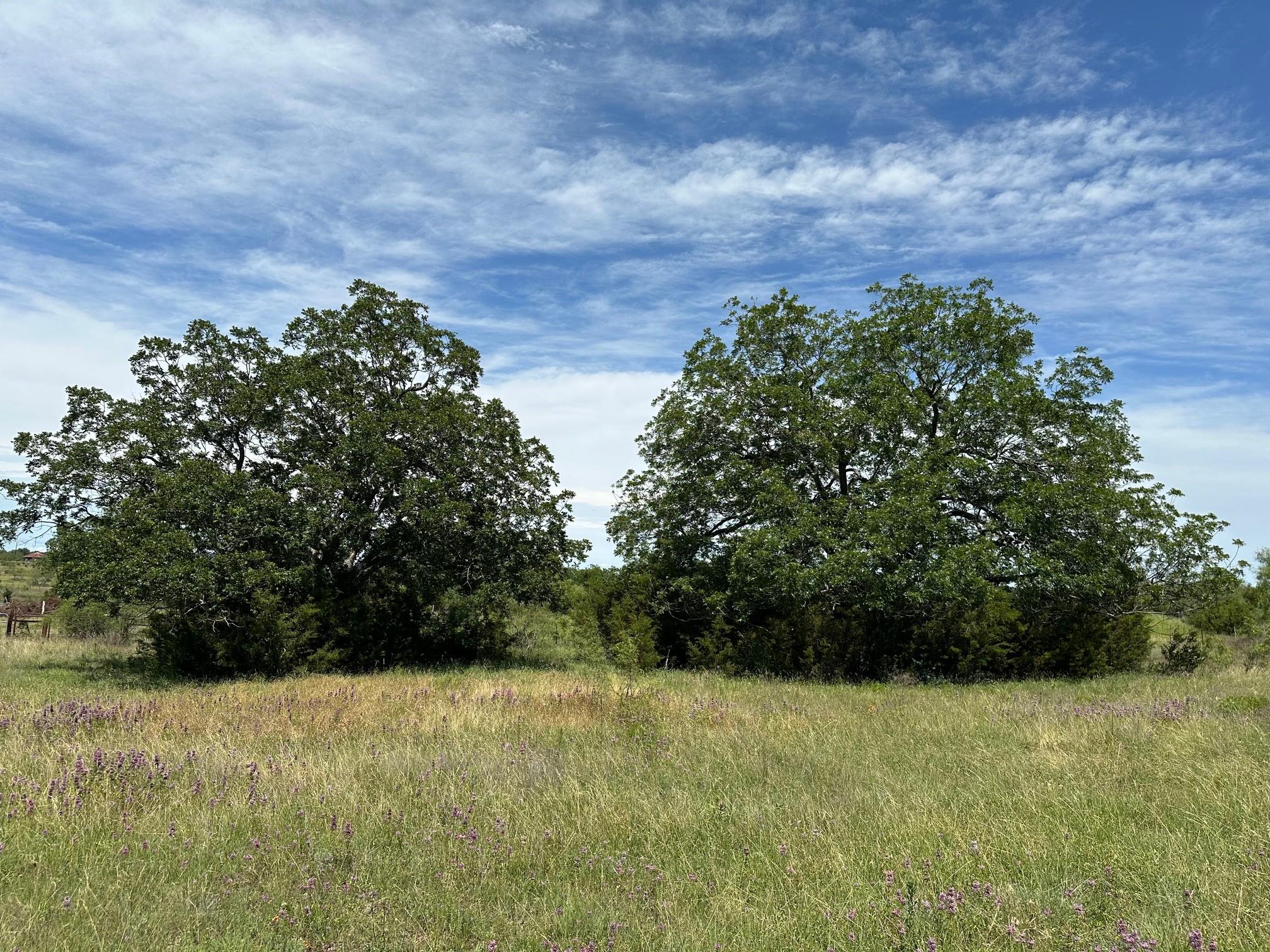 23 acres County Road 330, Bertram, TX 78605