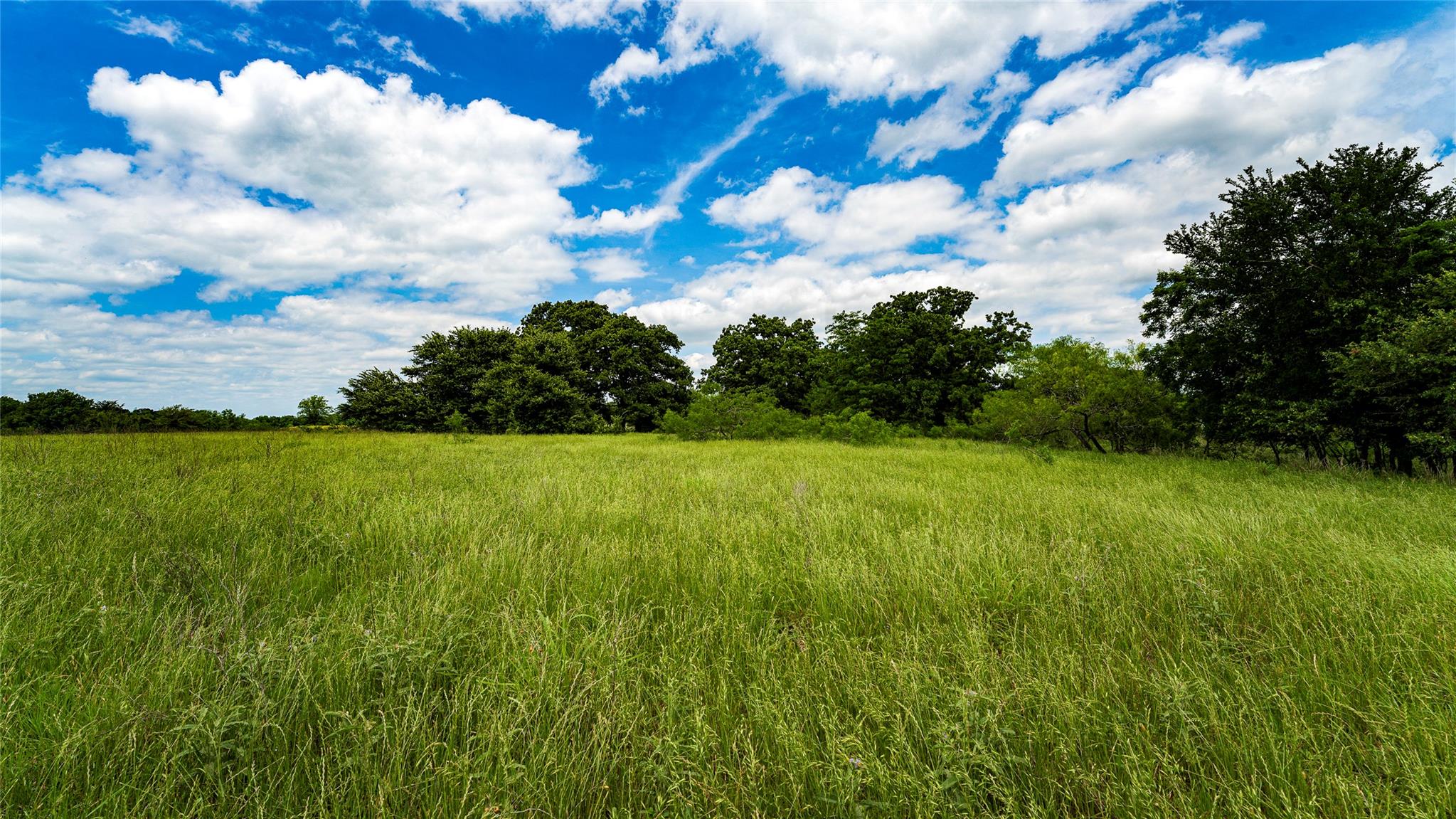 ESMT County Road 302, Rockdale, TX 78947