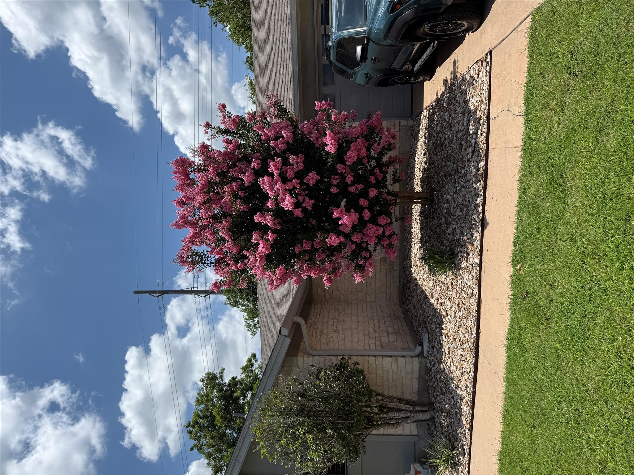 1002 Deep Wood DR, Round Rock, TX 78681
