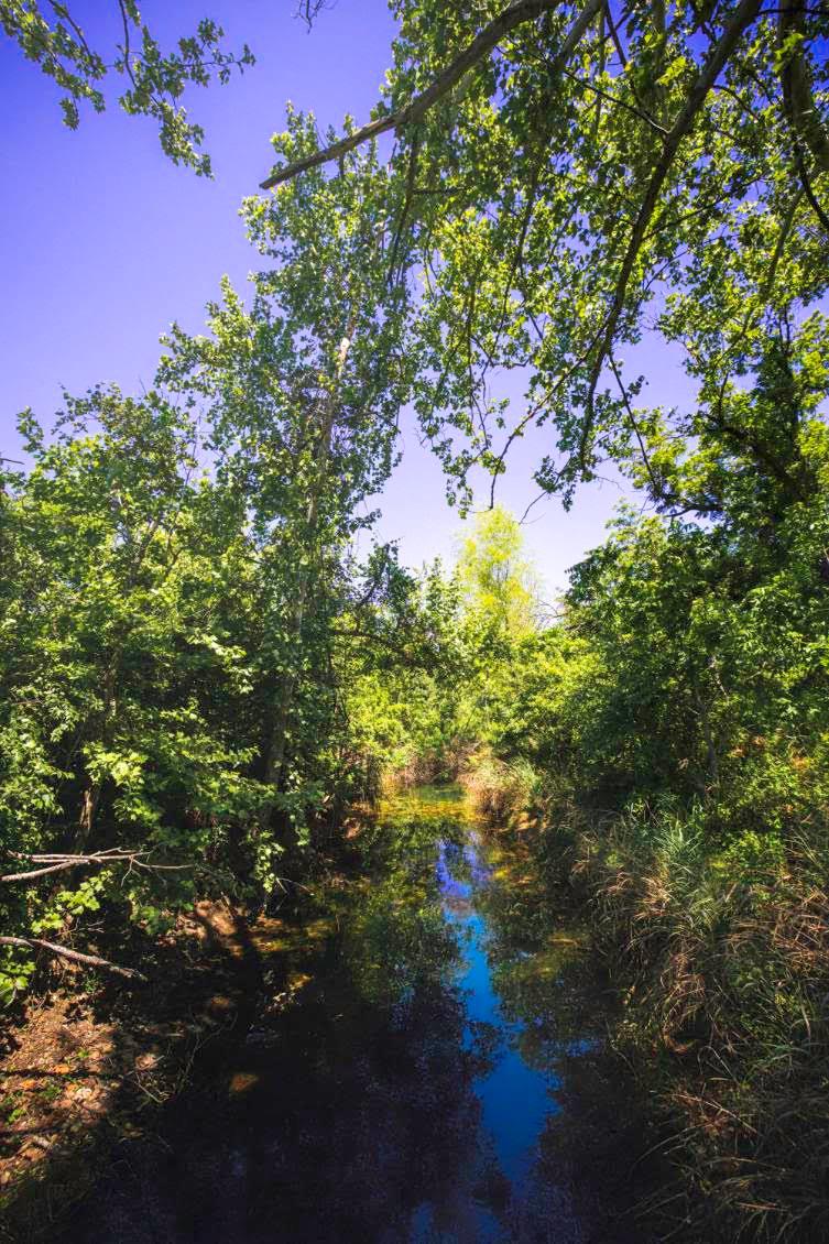 12451 Fm 2325 RD, Wimberley, TX 78676
