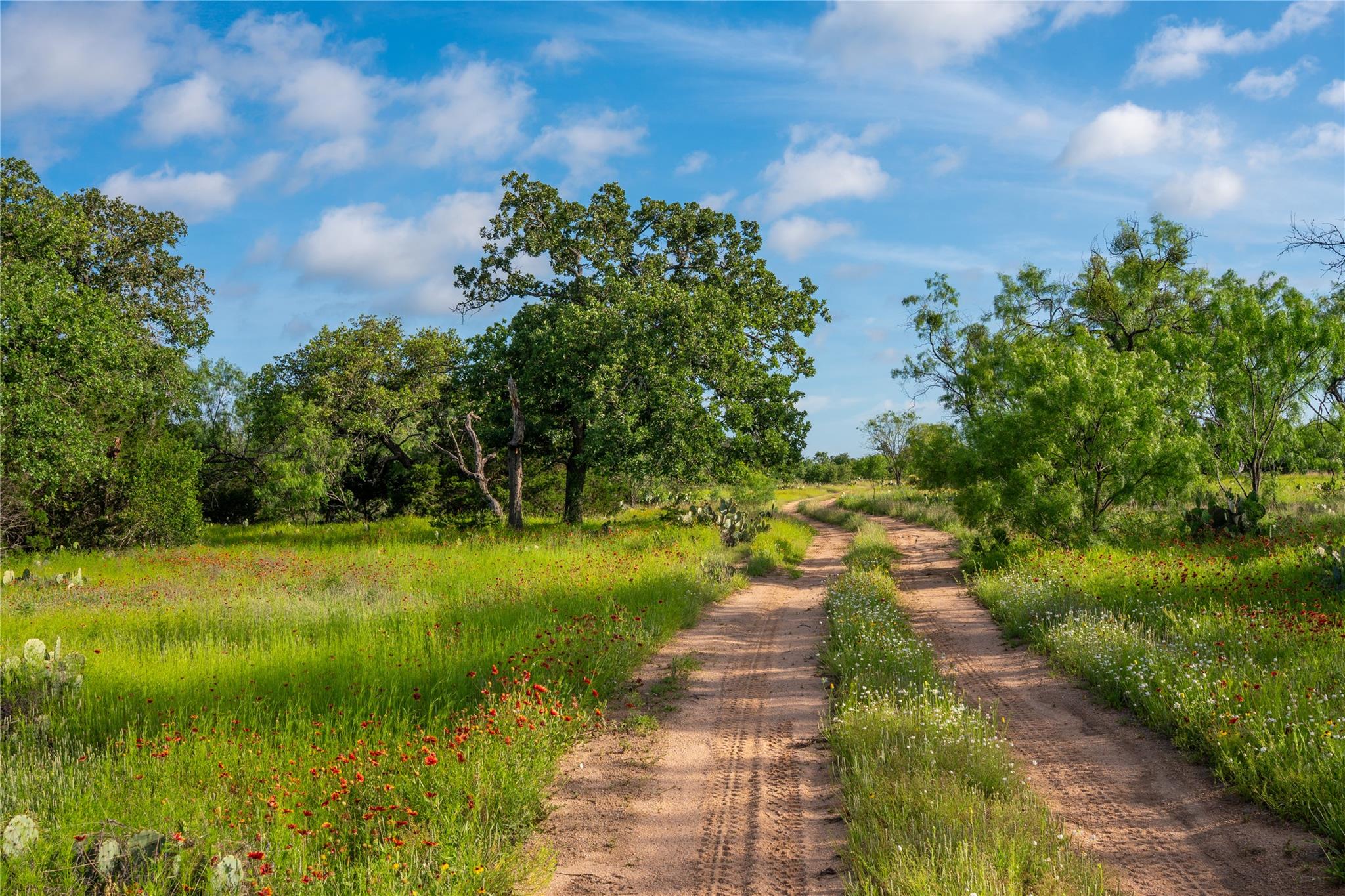 3501 Cr120, Marble Falls, TX 78654