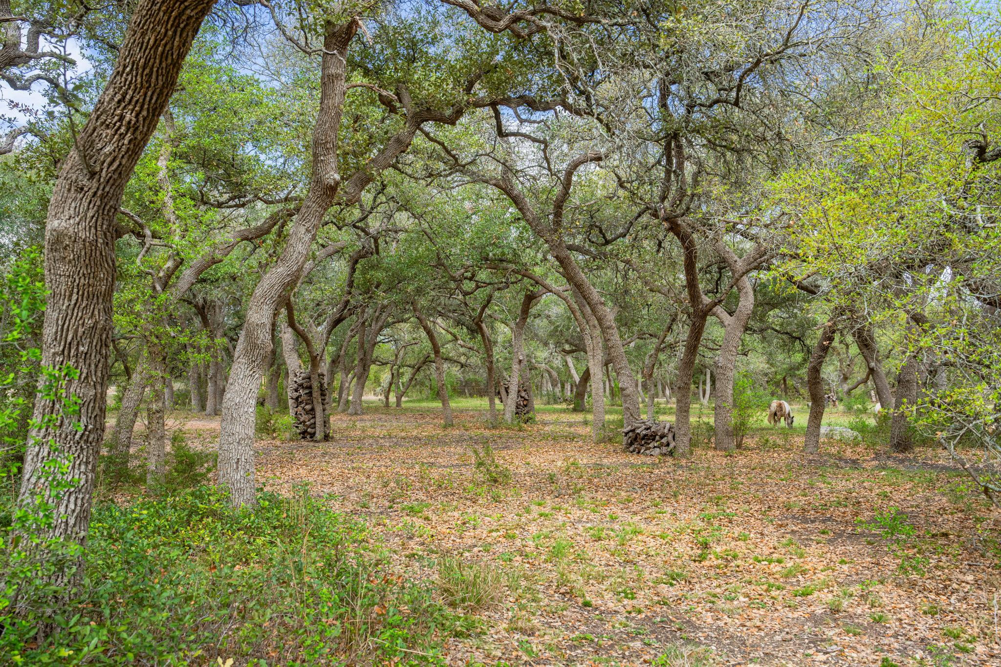 100 Rainbow's End, Wimberley, TX 78676