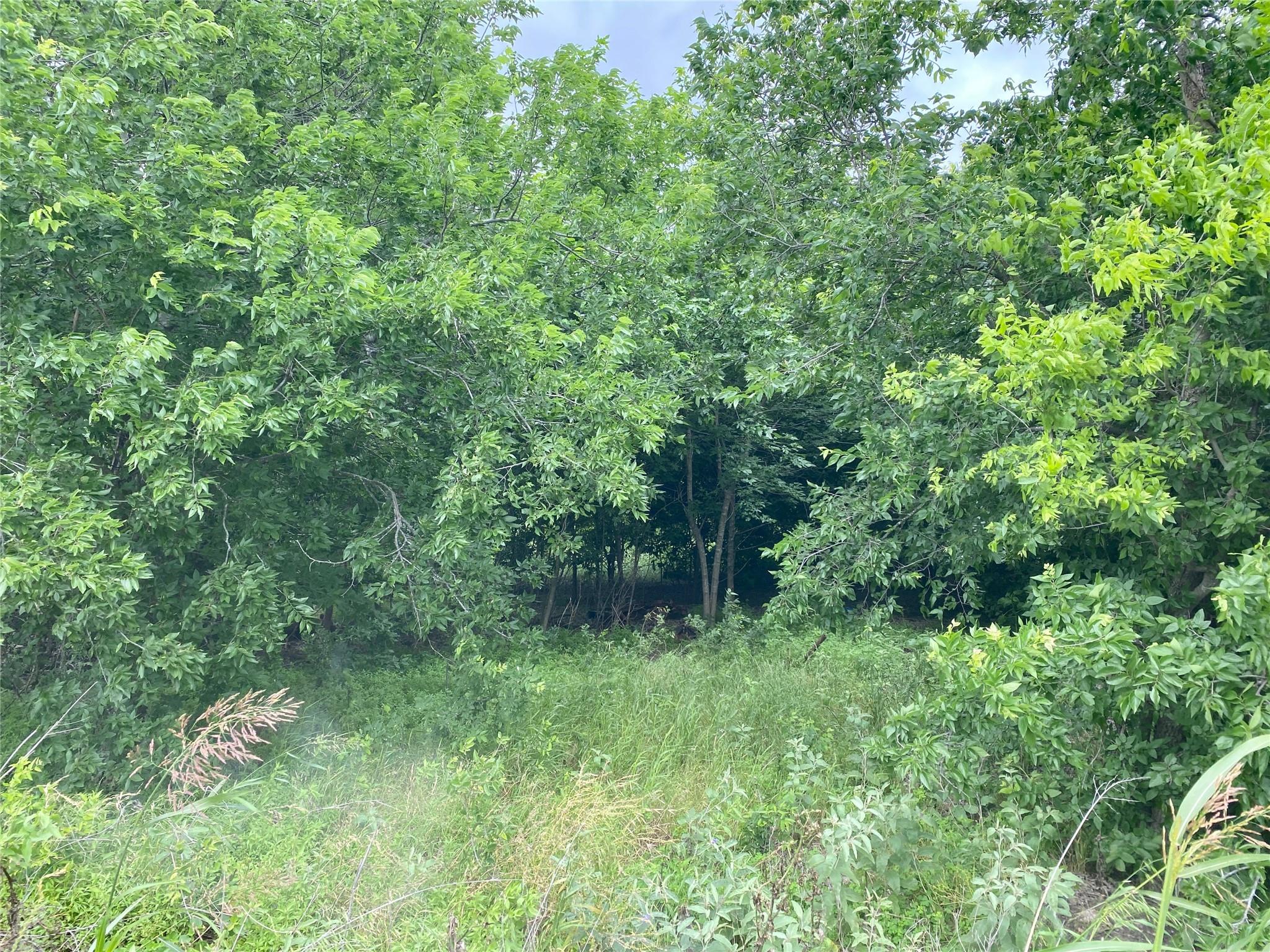 13732 Chandler RD, Taylor, TX 76574