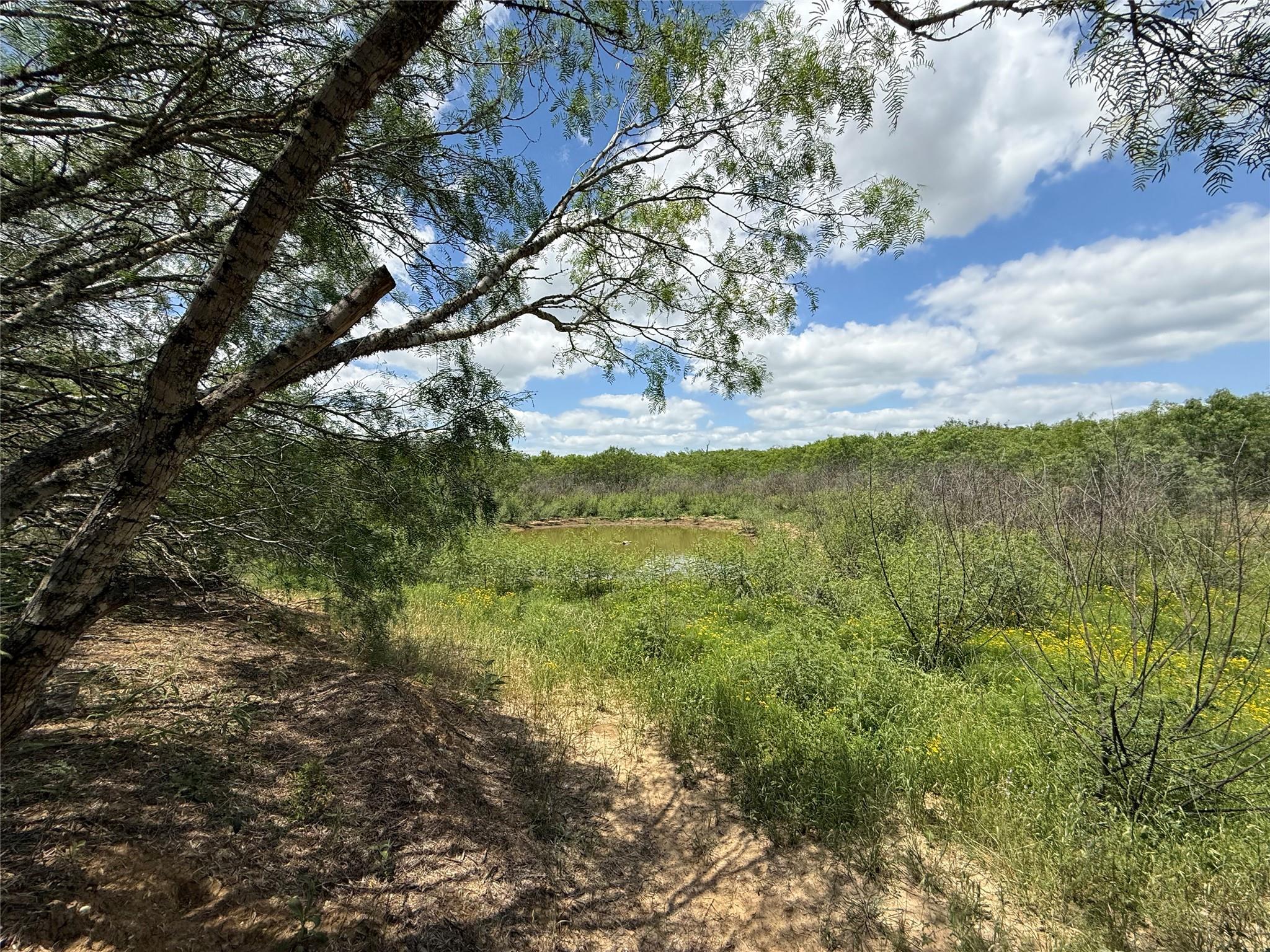 TBD Pettytown RD, Red Rock, TX 78662