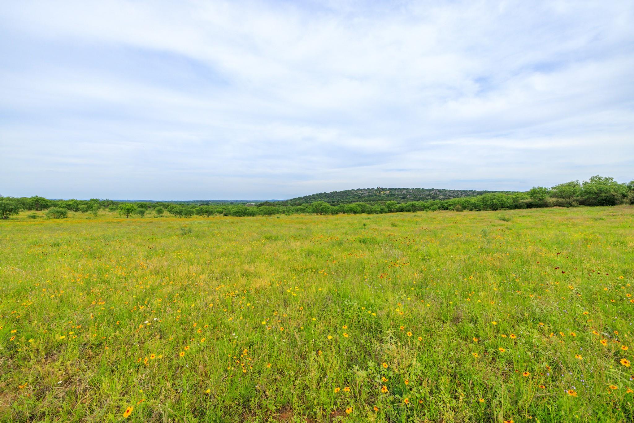 3724 Ranch Road 3347, Round Mountain, TX 78663