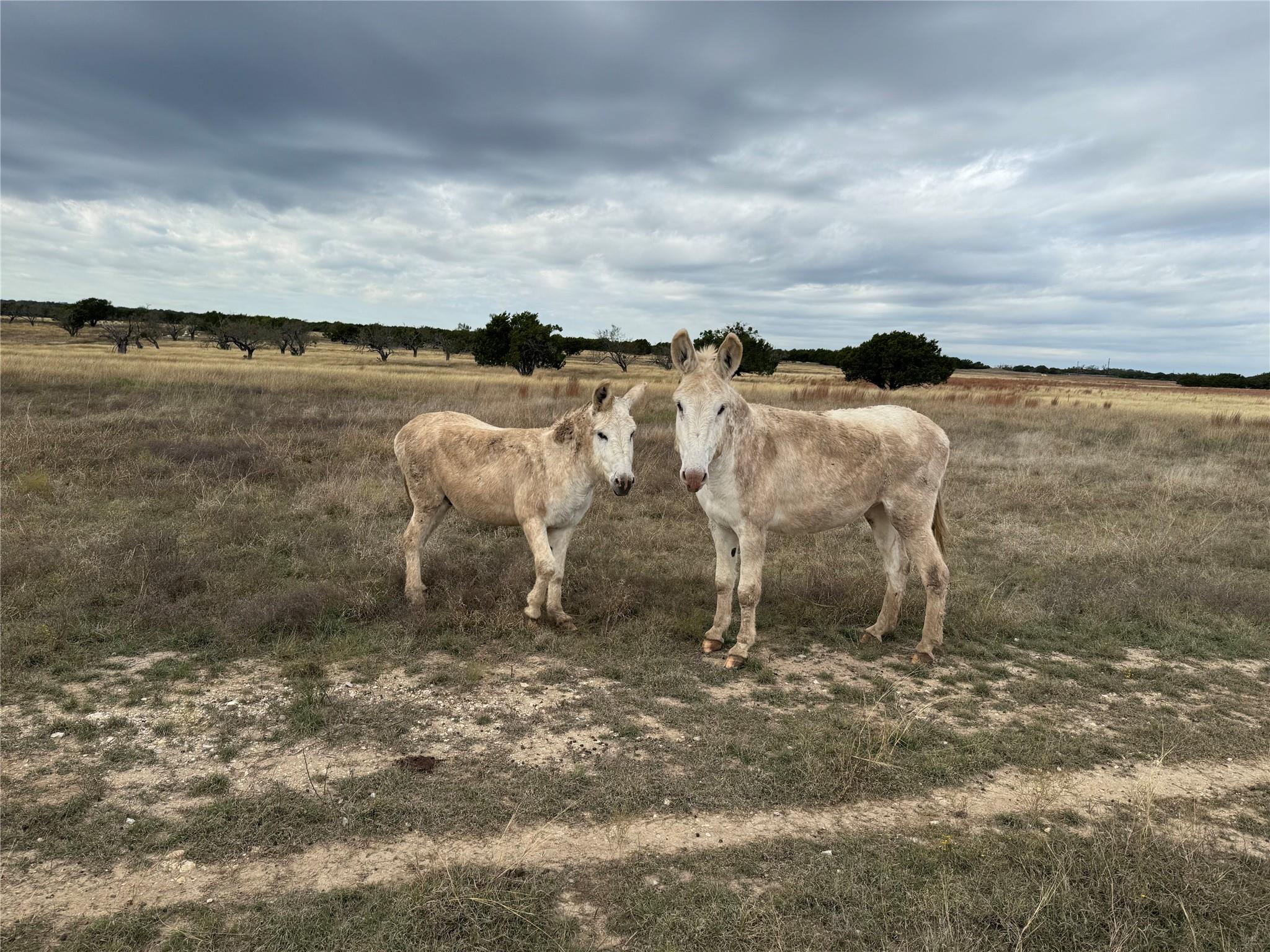 1115 Tract 3 County Road 204, Burnet, TX 78611