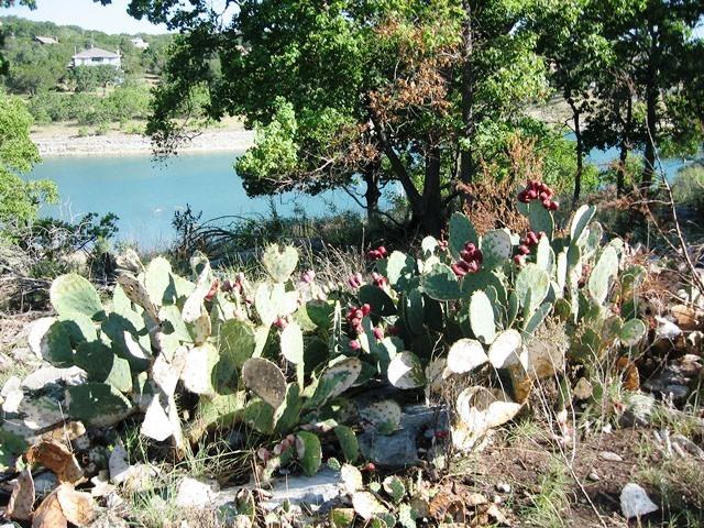 2552 Connie DR, Canyon Lake, TX 78133
