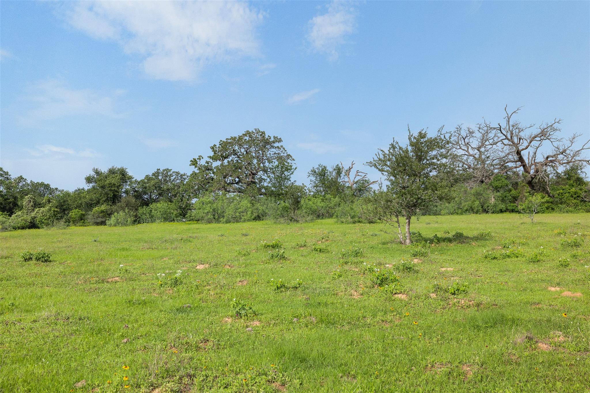 TBD County Road 459 RD, Thorndale, TX 76577