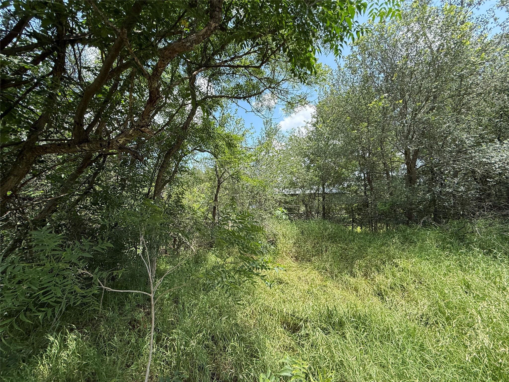 135 Jackson ST, Elgin, TX 78621