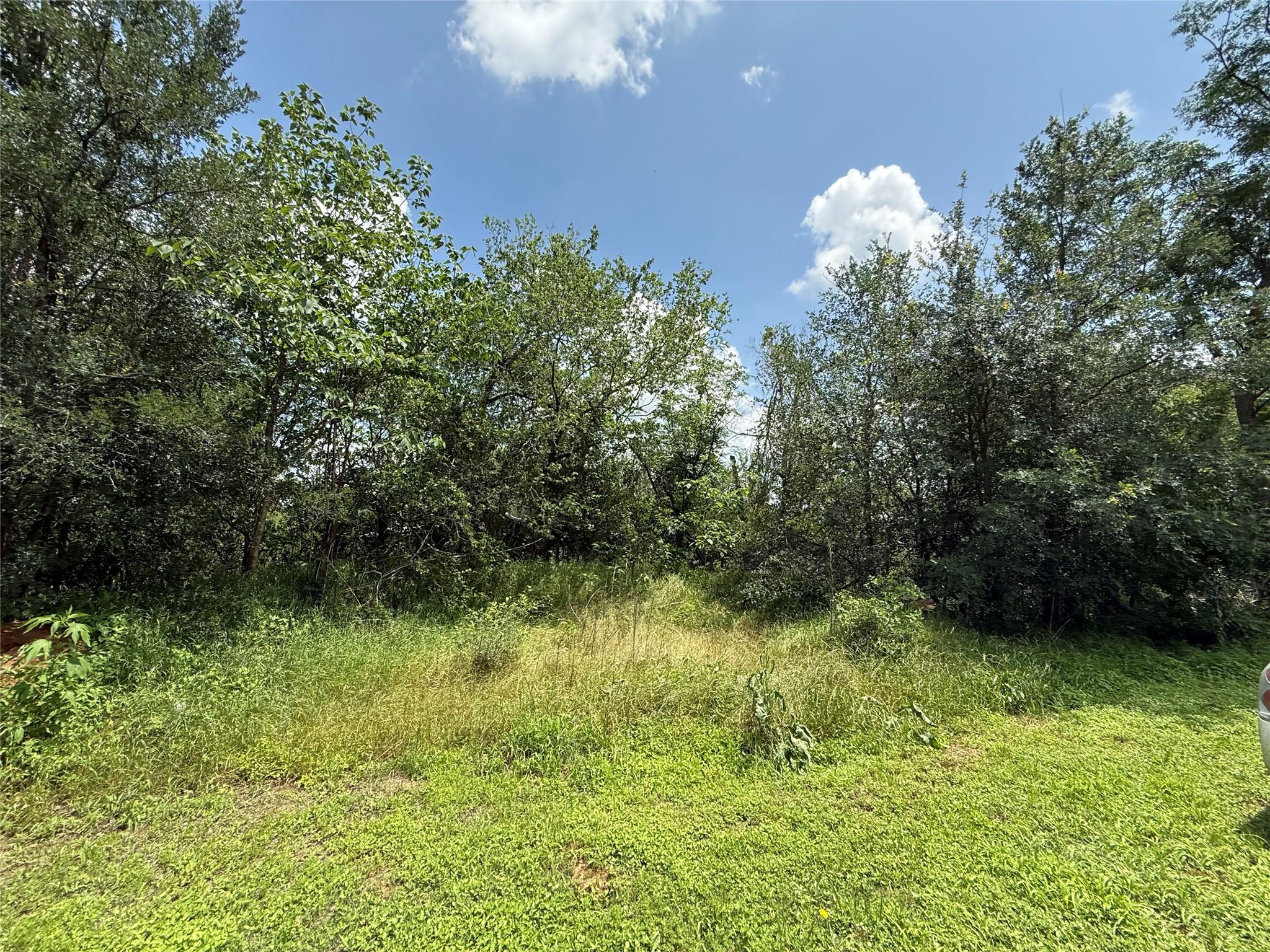 135 Jackson ST, Elgin, TX 78621