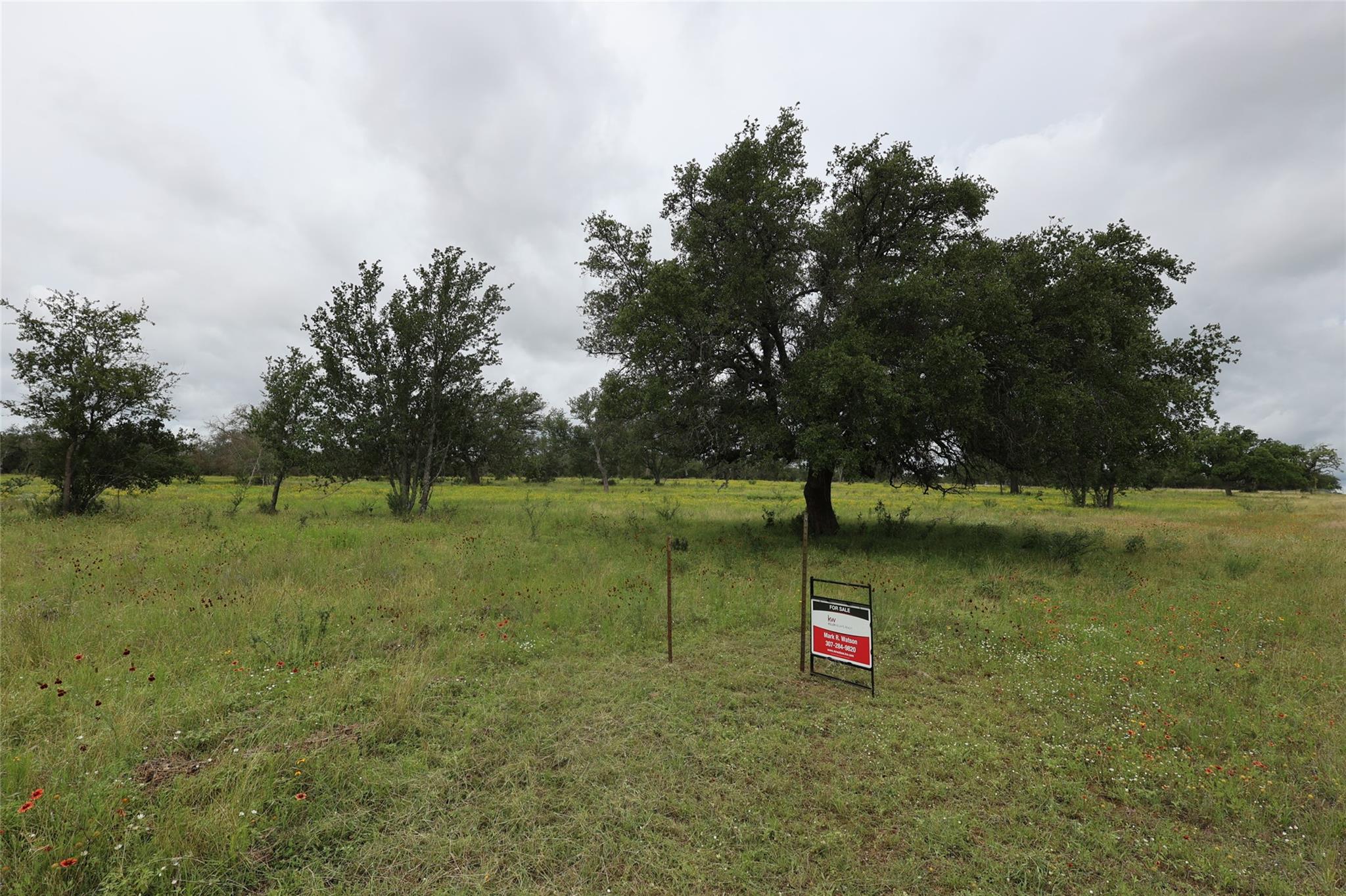 1399 Klett Ranch RD, Johnson City, TX 78636