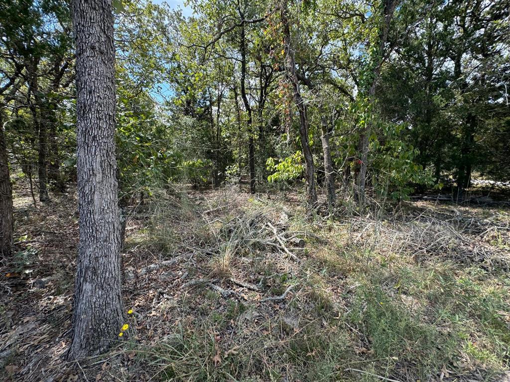 [Lot 1] 000 Jordan LN, Elgin, TX 78621