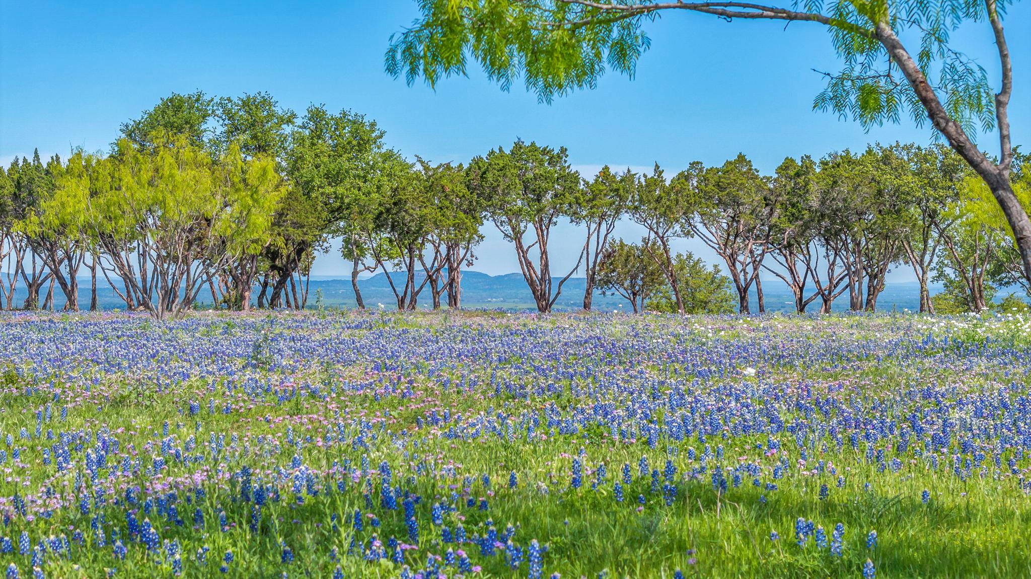 3531 Rm 3347, Round Mountain, TX 78663