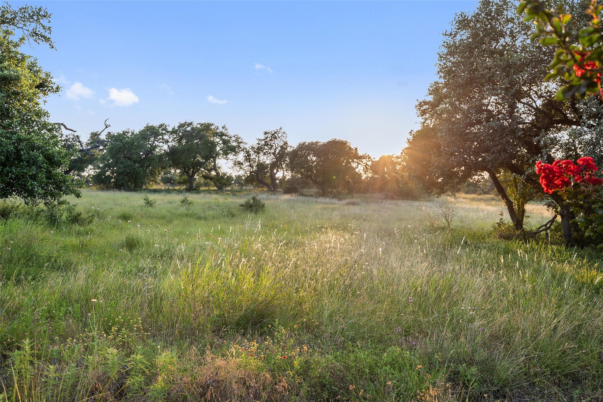 418 Cattle Trail DR, Dripping Springs, TX 78620
