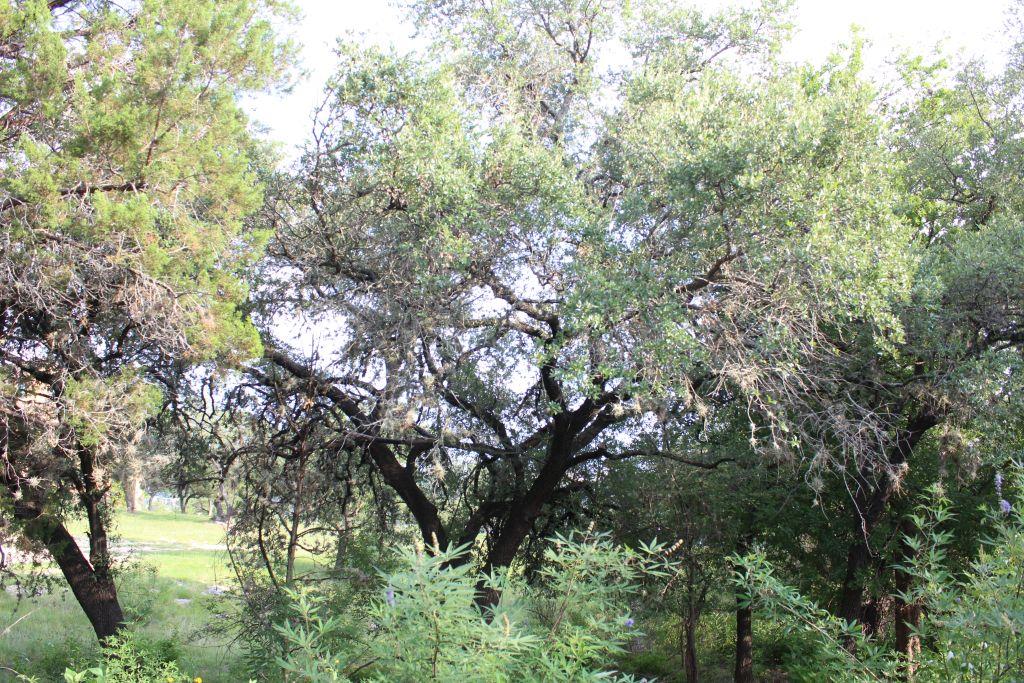 738 Deckhouse DR, Point Venture, TX 78645