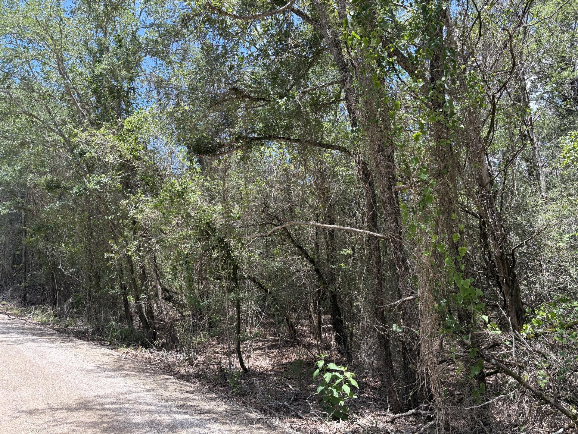 Lot 1228 - 1229 Hanauma DR, Bastrop, TX 78602