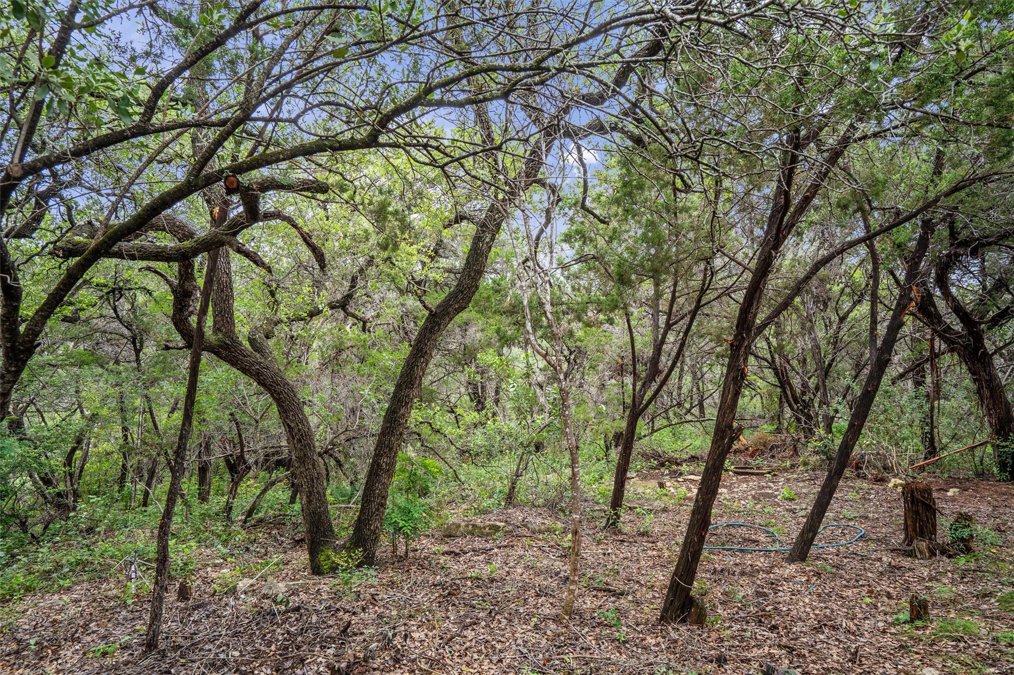 501 Drawbridge RD, Austin, TX 78746