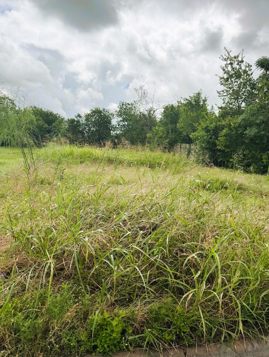 503 Maple ST, Taylor, TX 76574