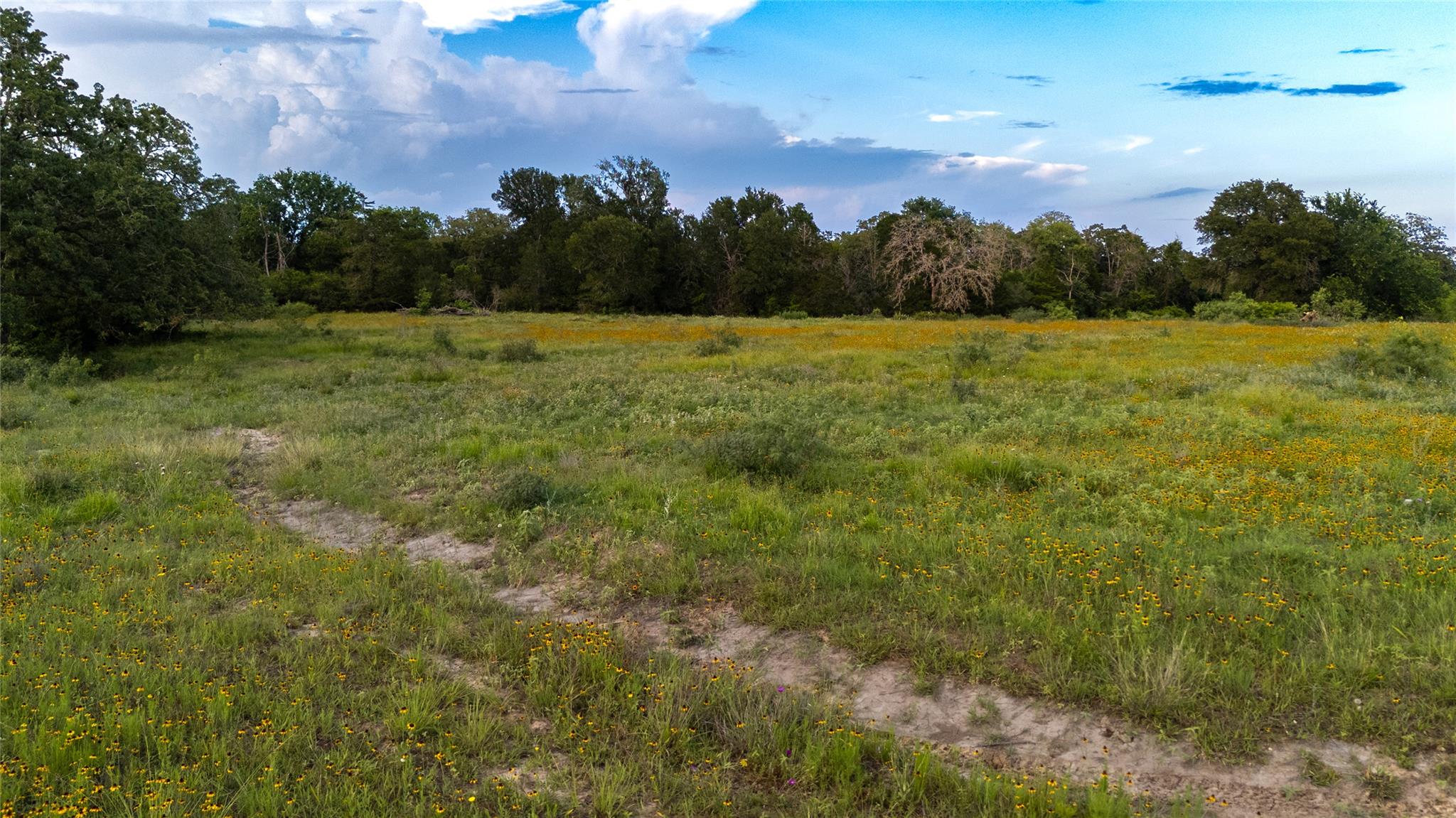1395 S Highway 95 Hw, Smithville, TX 78957