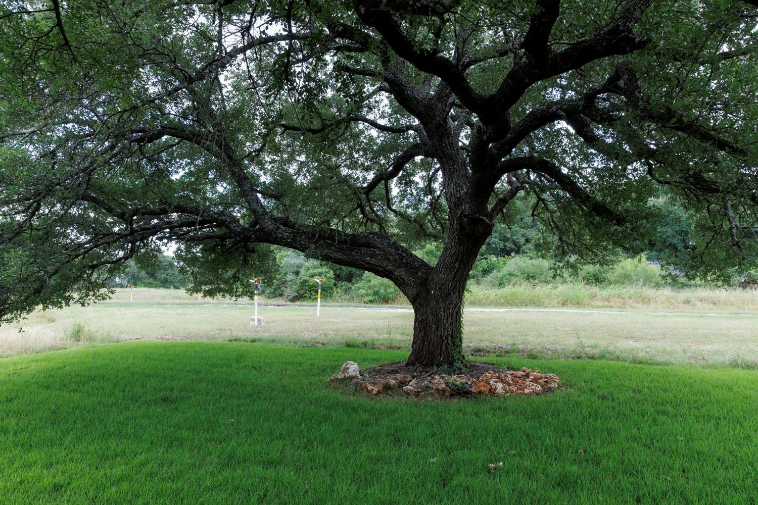 1005 Cimarron Hills TRL W, Georgetown, TX 78628