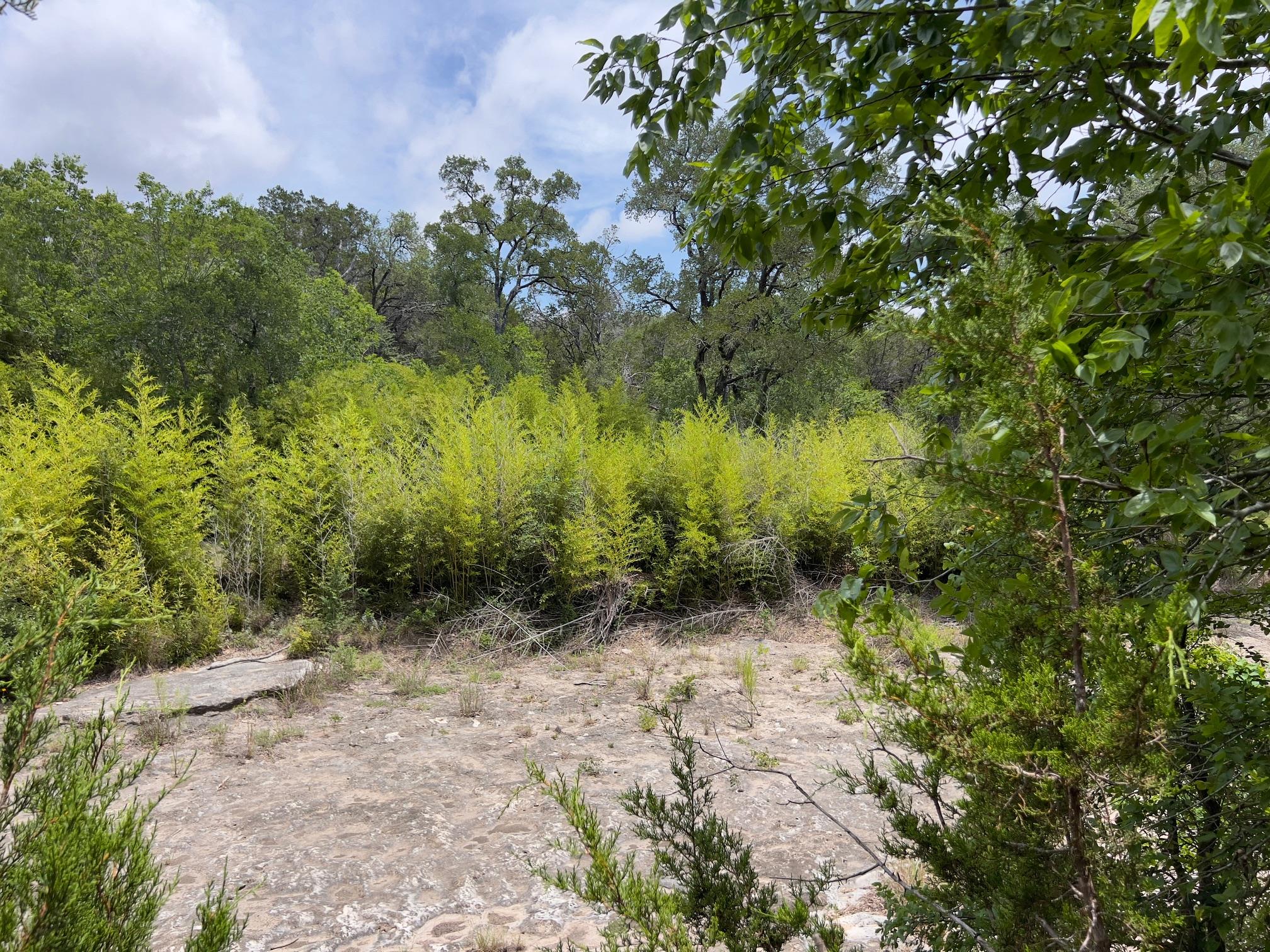 TBD Lot PT 19 Narrows RD, Blanco, TX 78606