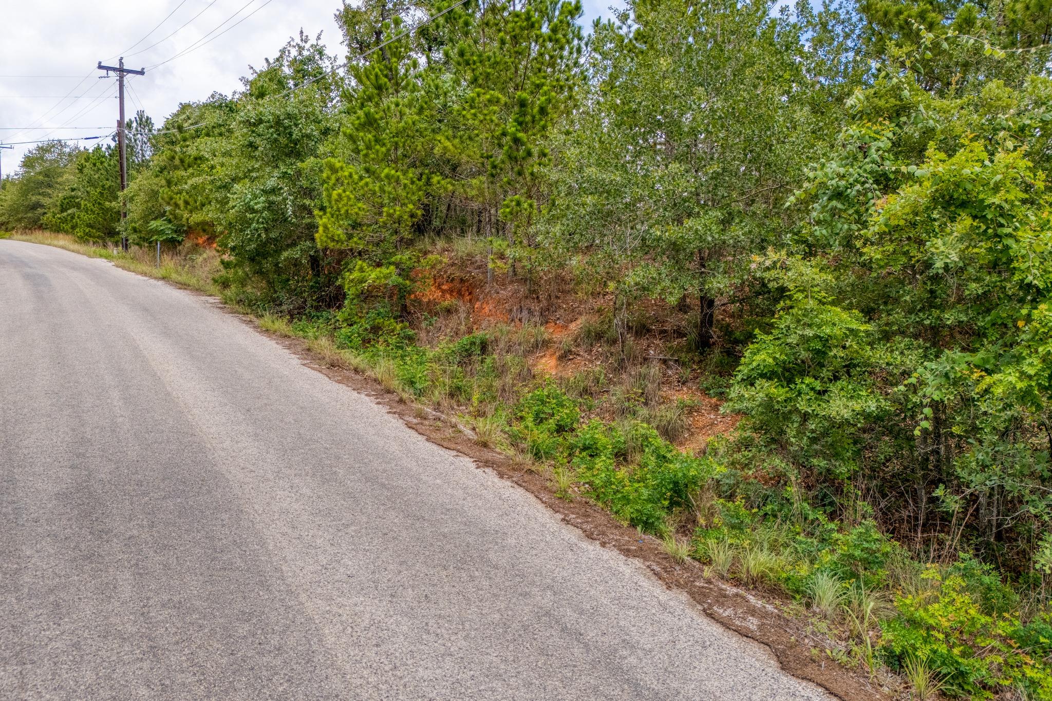 110 Pahalawe LN, Bastrop, TX 78602