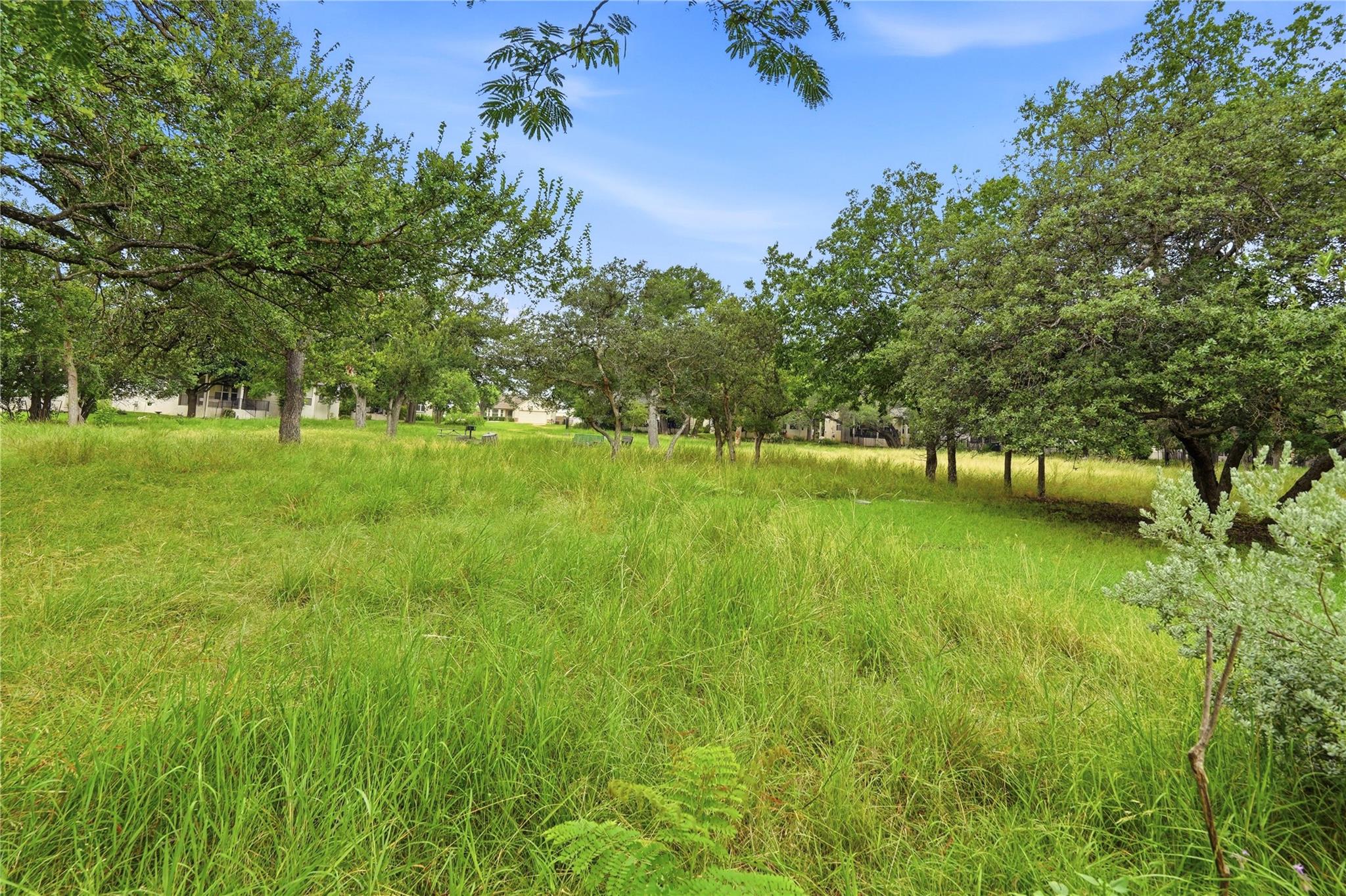 117 Whitewing Way, Georgetown, TX 78633