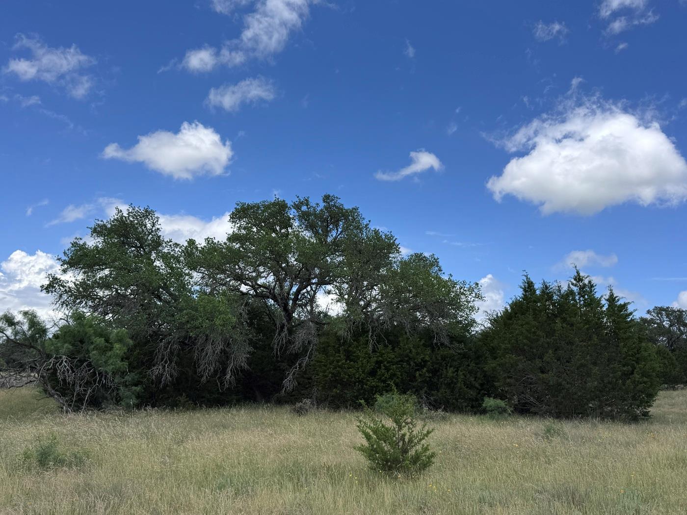 257 W Rolling Oaks DR, Goldthwaite, TX 78644