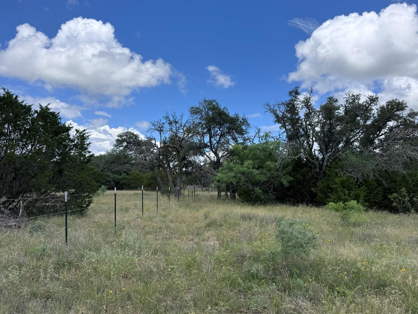 312 Oak Stump DR, Goldthwaite, TX 76844