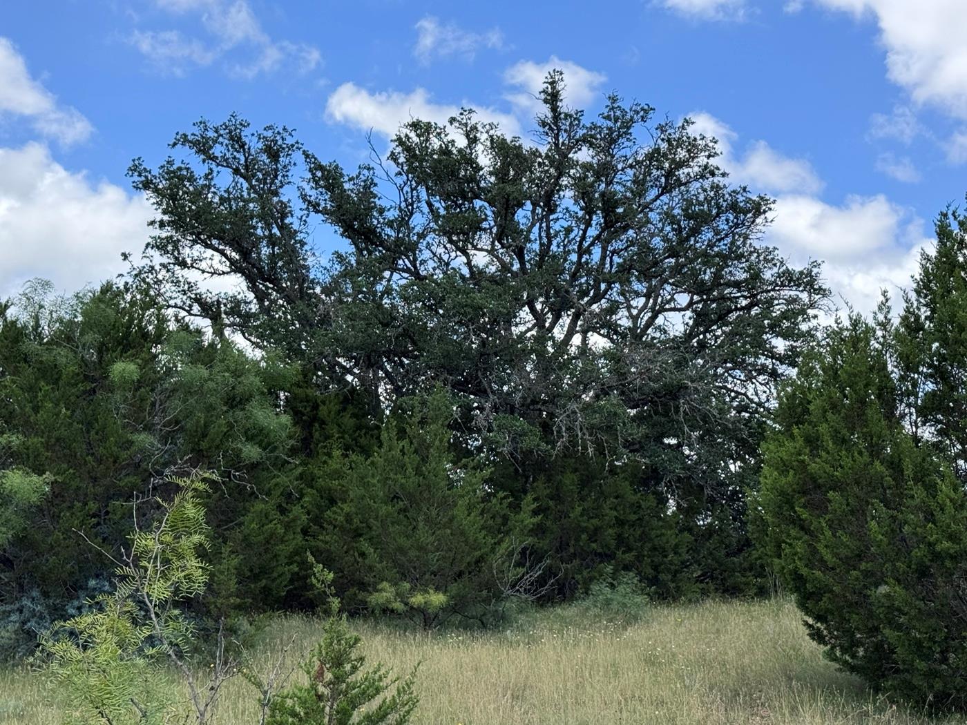 312 Oak Stump DR, Goldthwaite, TX 76844