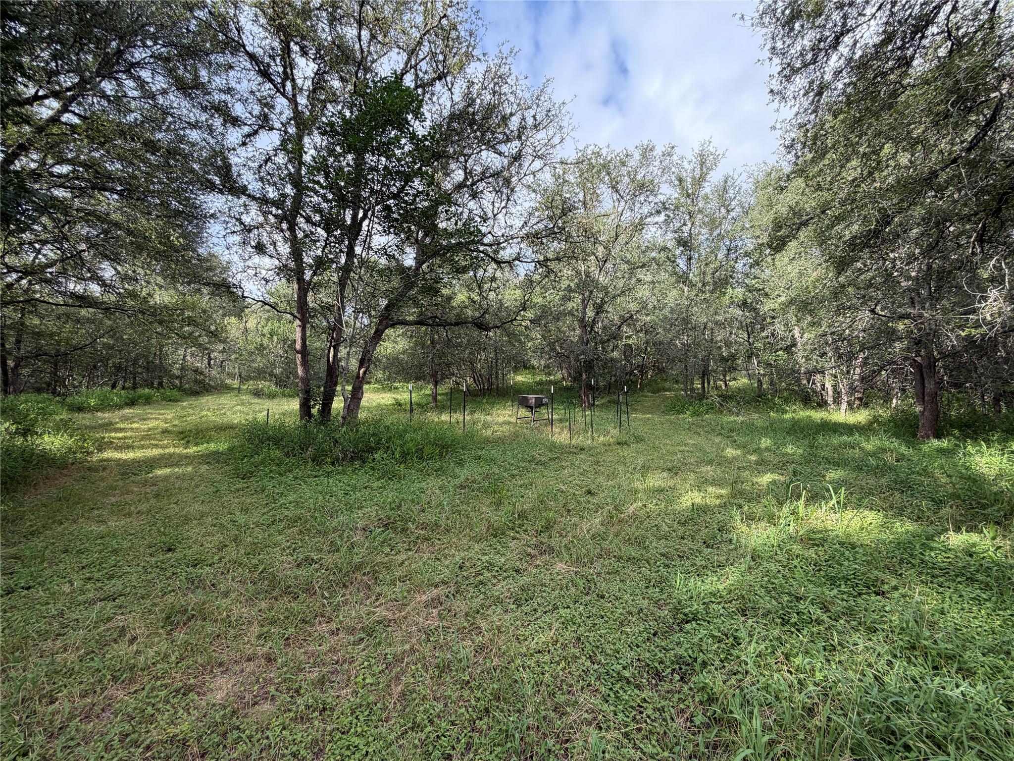 437 Balch RD, Elgin, TX 78621