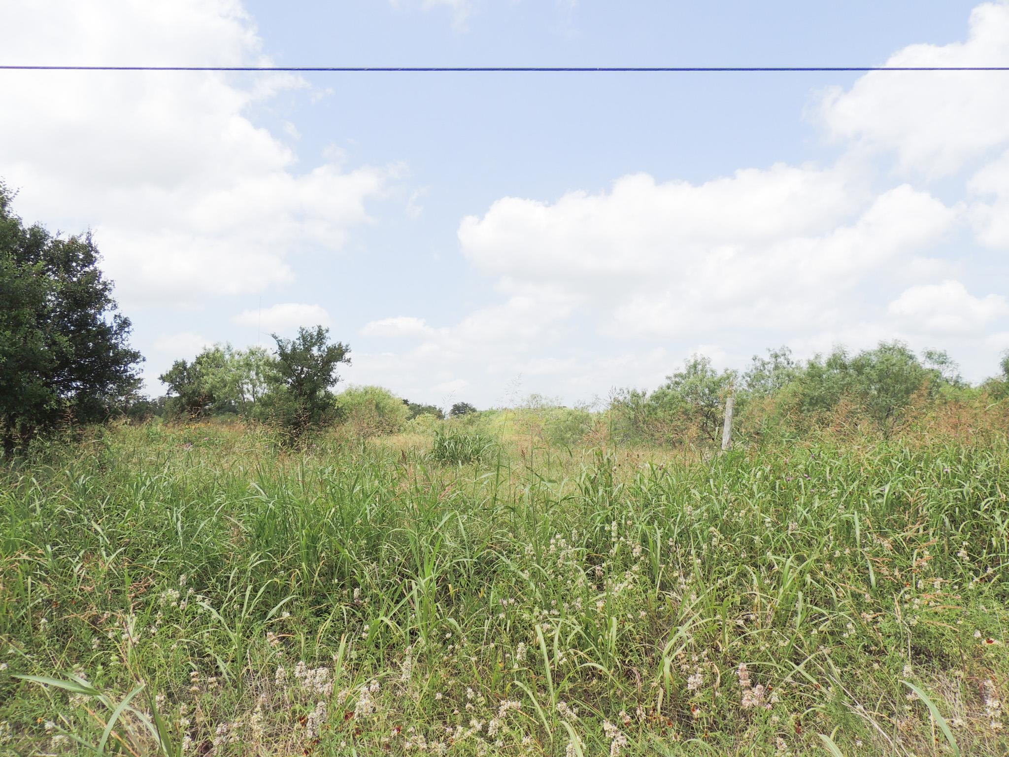 265 Linam LN, Cedar Creek, TX 78612