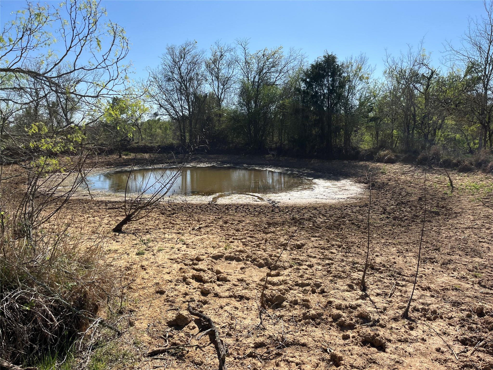 000 Fm 619, Thrall, TX 76578